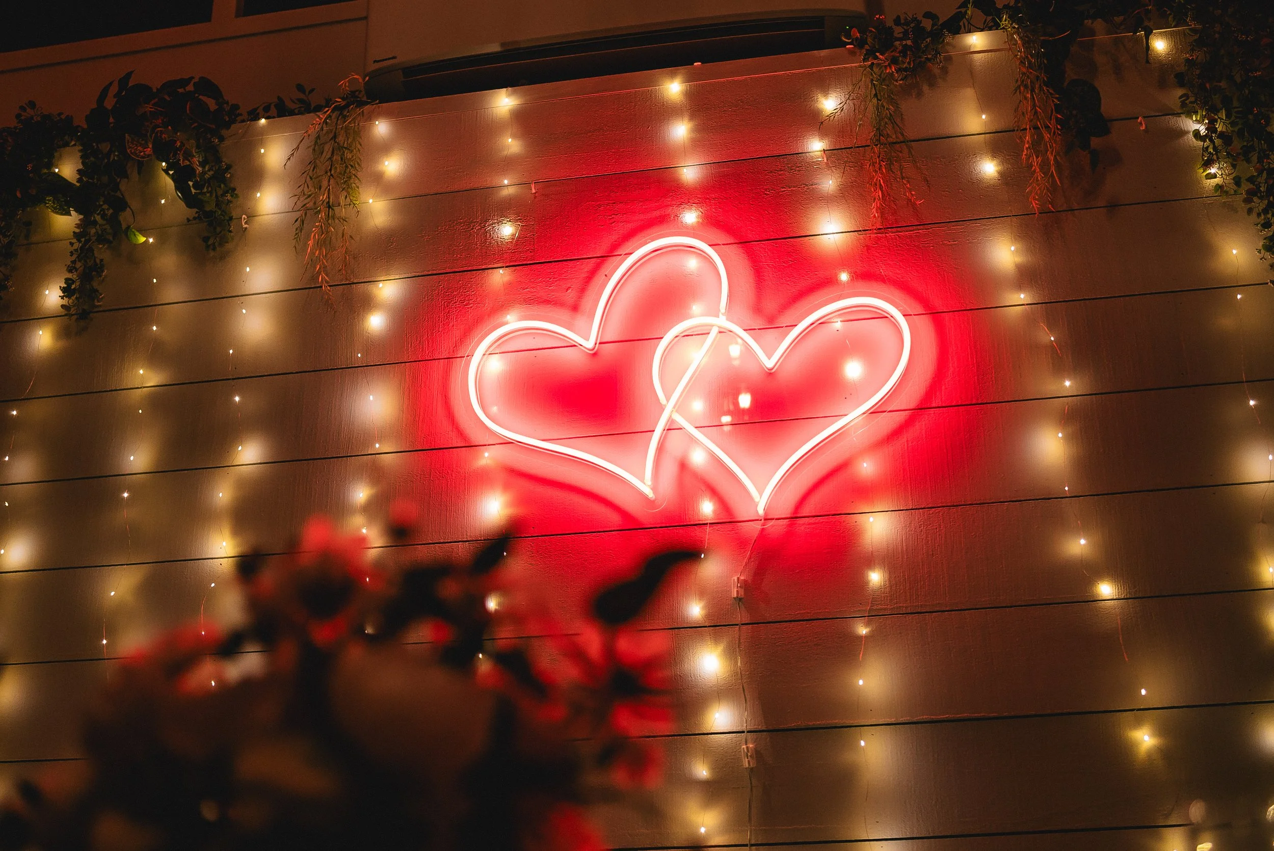 Wild Hearts Photography NZ 