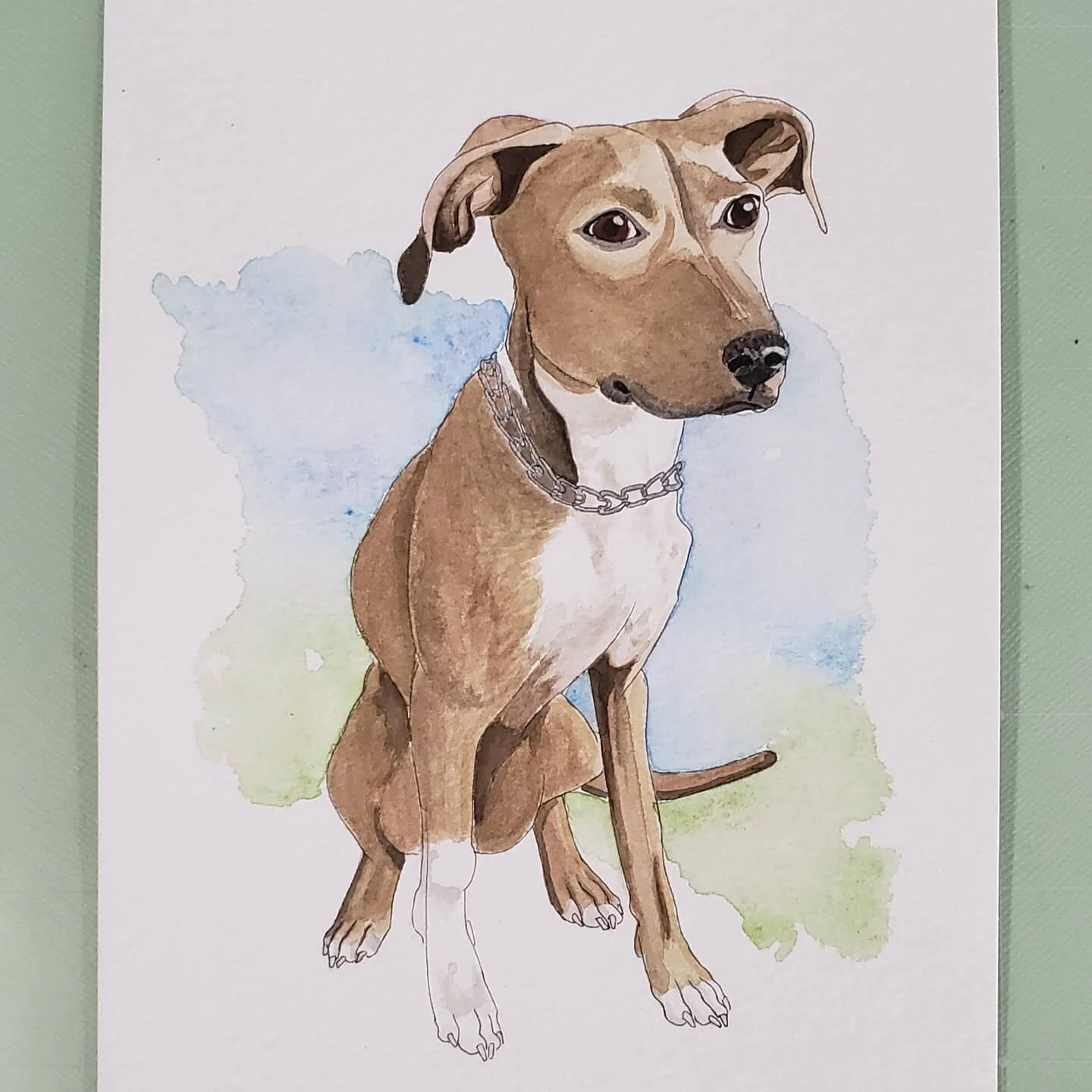 Pet Portrait Dog Frisco.jpg