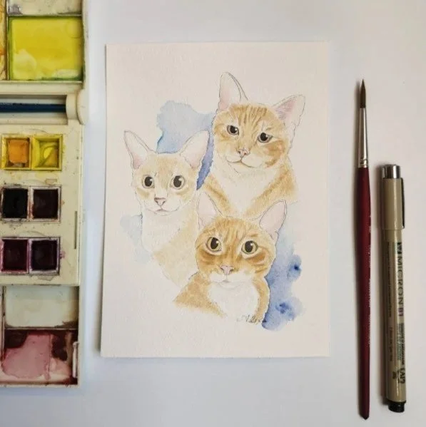 Alexa's Illustrations @Alexasillustrations #alexasillustrations custom watercolor pet portrait watercolor cat illustration Tulsa Artist Oklahoma Artist tulsa watercolor artist tulsapets