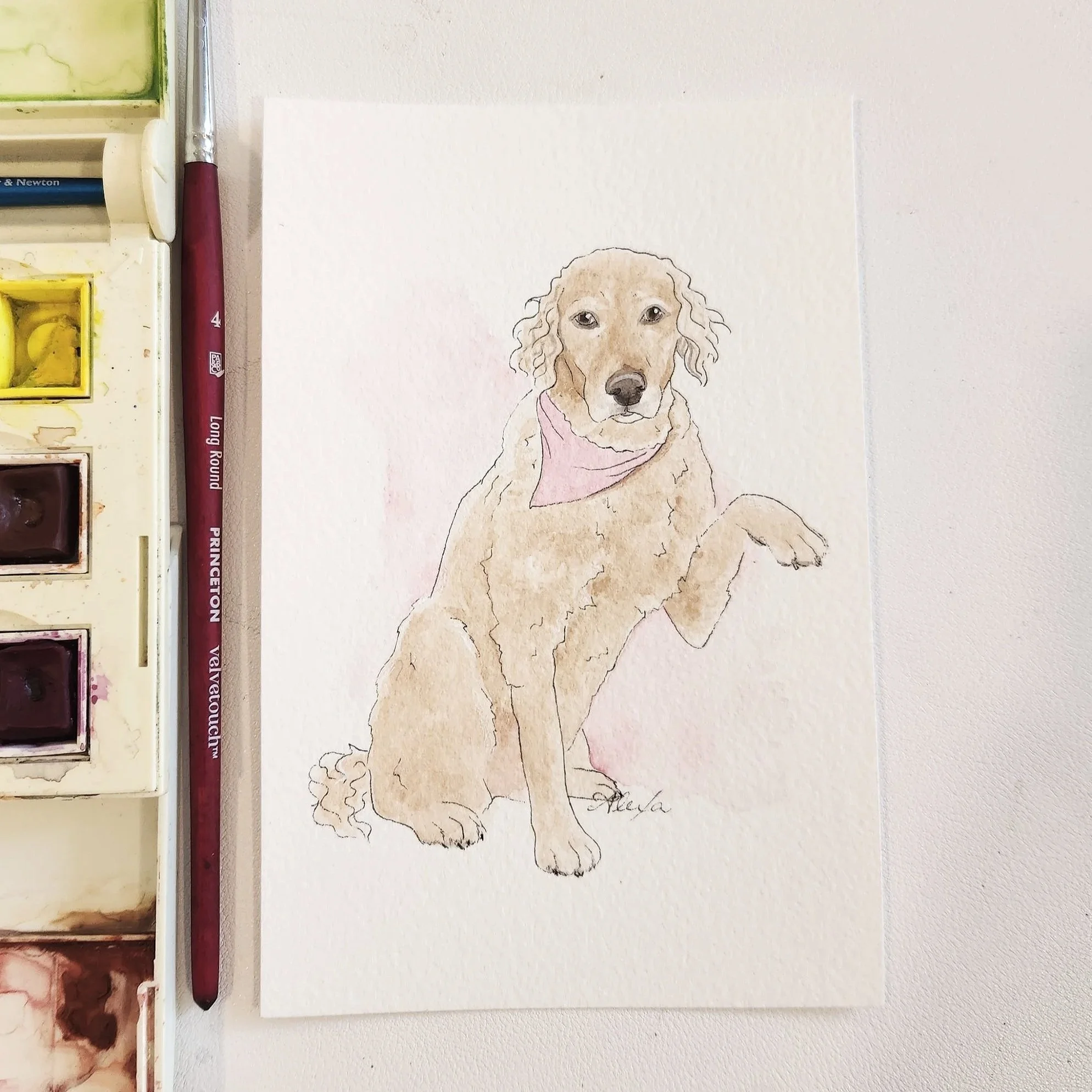 Alexa's Illustrations @Alexasillustrations #alexasillustrations custom watercolor pet portrait watercolor dog illustration Tulsa Artist Oklahoma Artist, pet portrait, dog portrait, watercolor pet portrait tulsa watercolor artist tulsapets