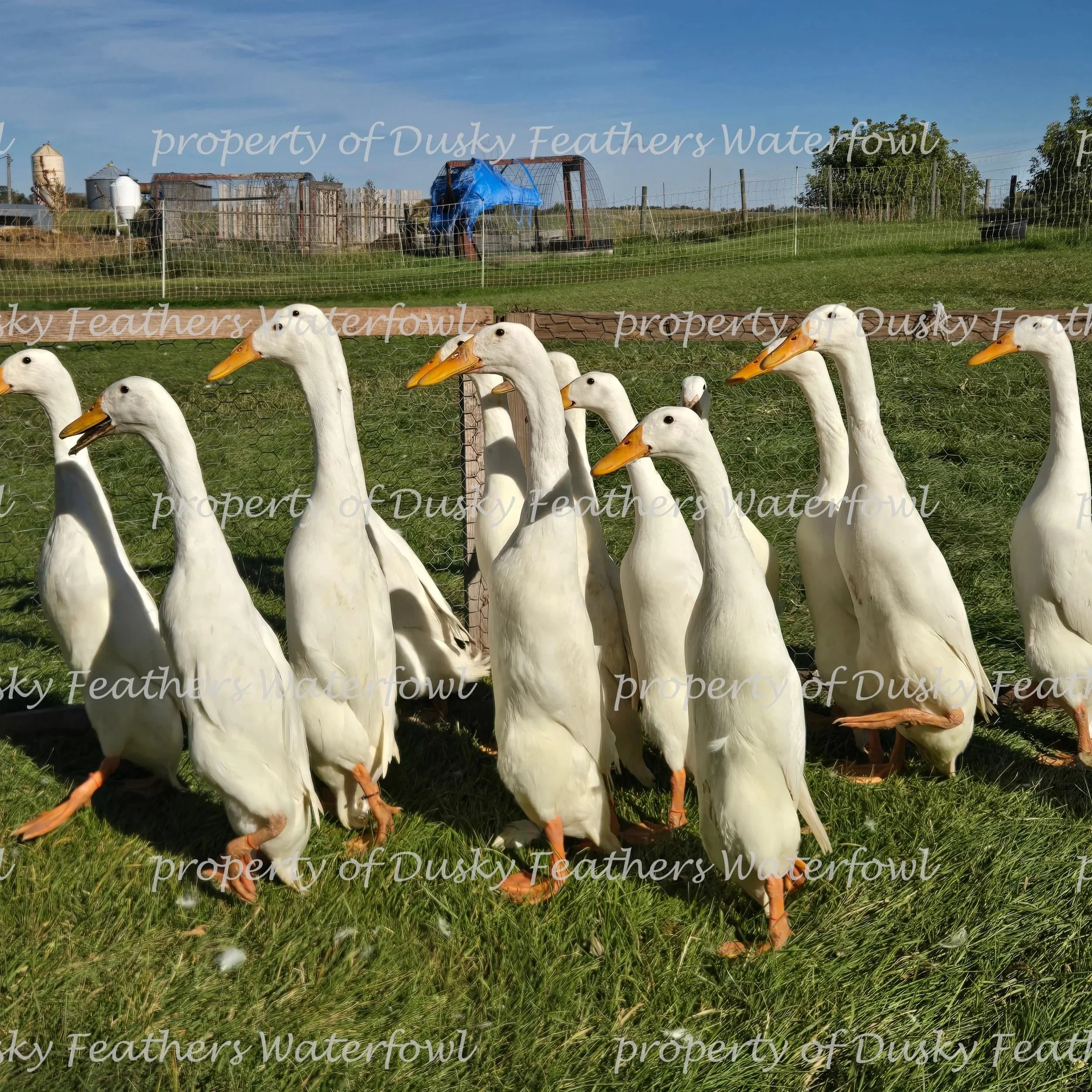 2026+watermark43+%284%29.jpg