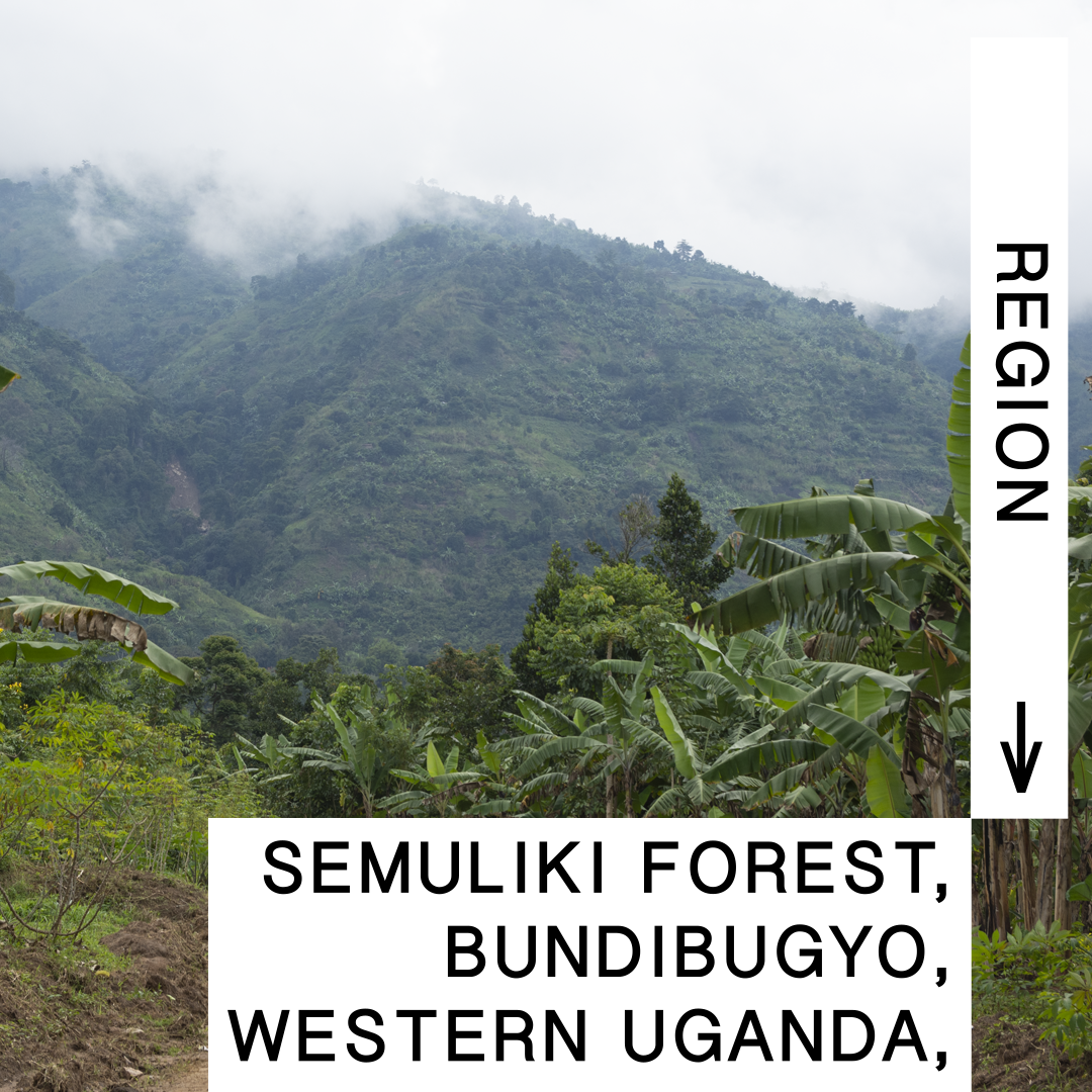 REGION_UGANDA.png