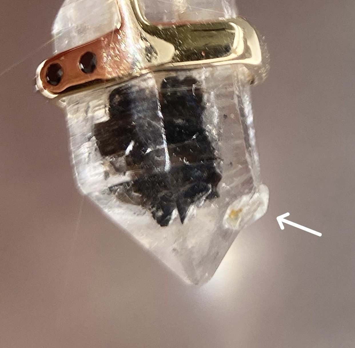 356 - closeup.jpg