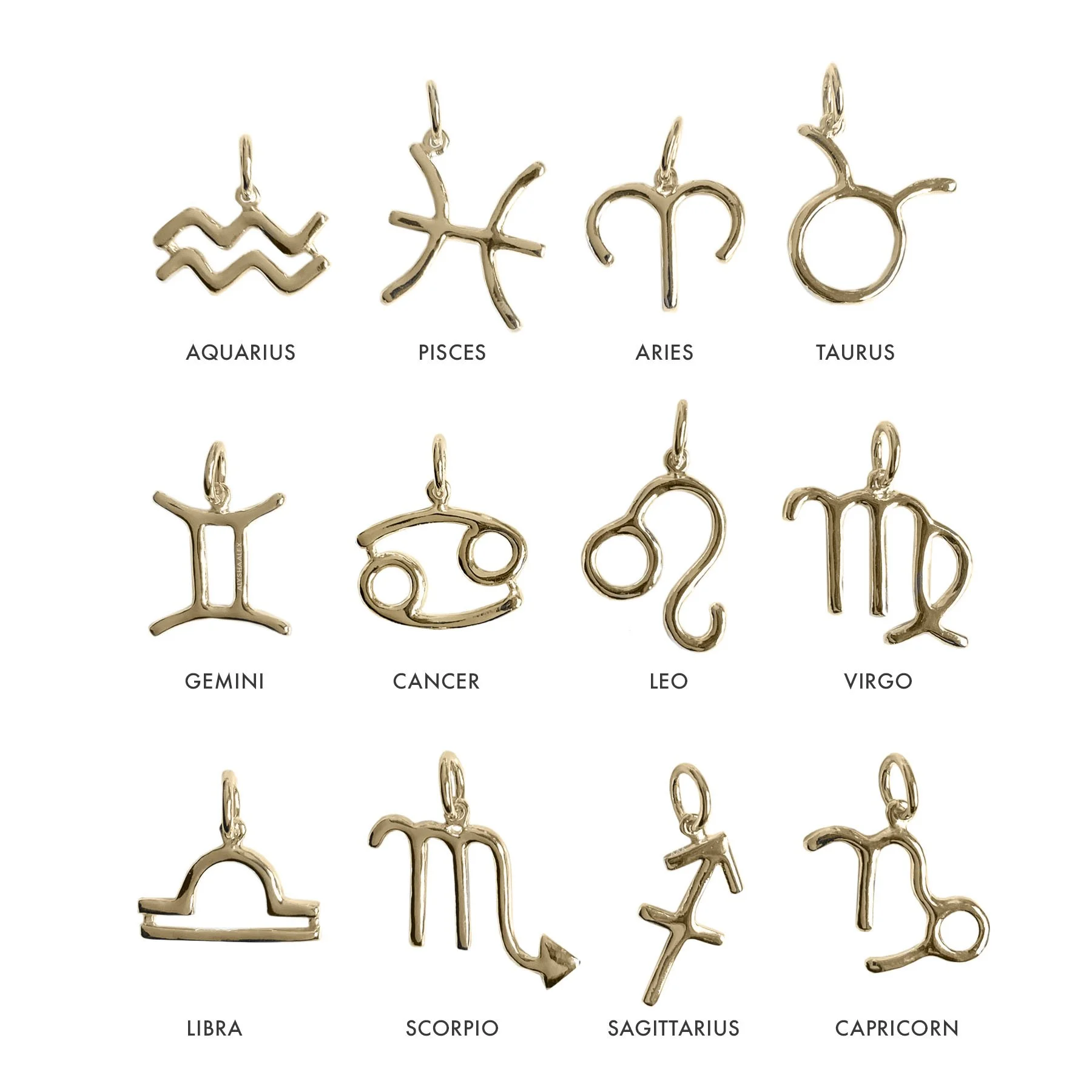 14K Maxi Zodiac Charms-white w:signs.jpg