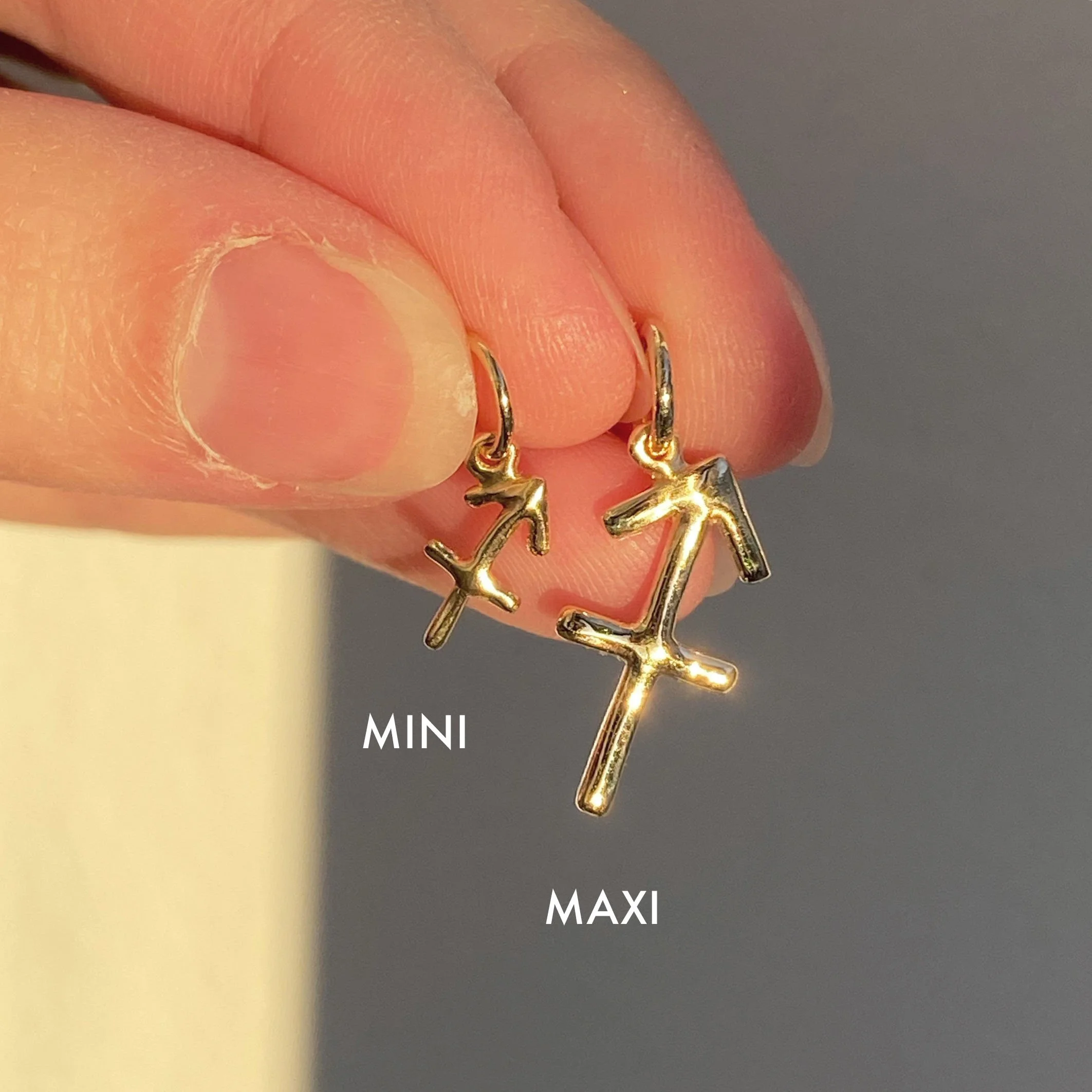 Zodiac Mini vs Maxi - SAG.jpg (Copy)