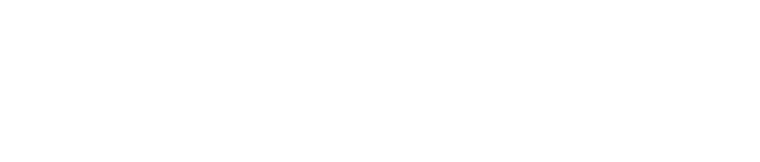 JDRF Logo_WHITE.png