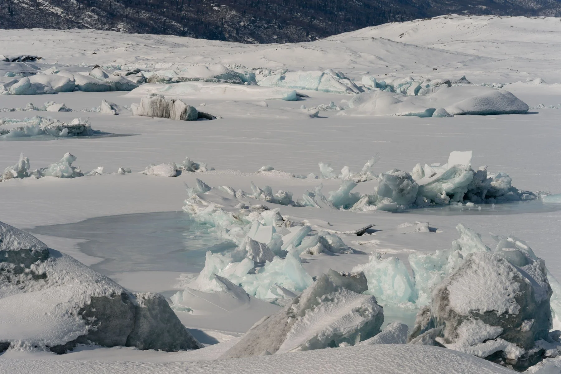 Chunks of ice from the knik glacier in a lake.