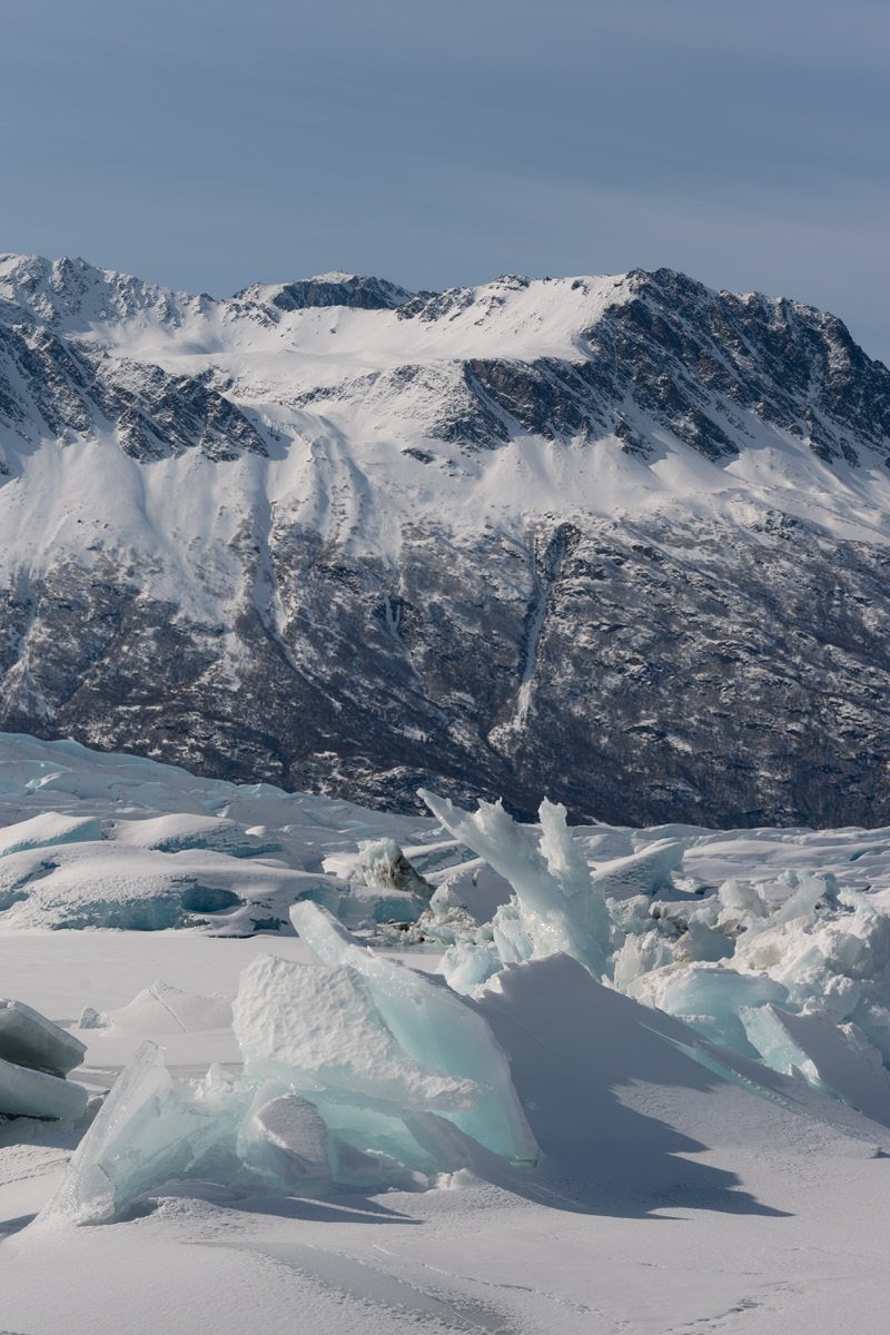 bright blue ice coming up through the lake near the Knik Glacier