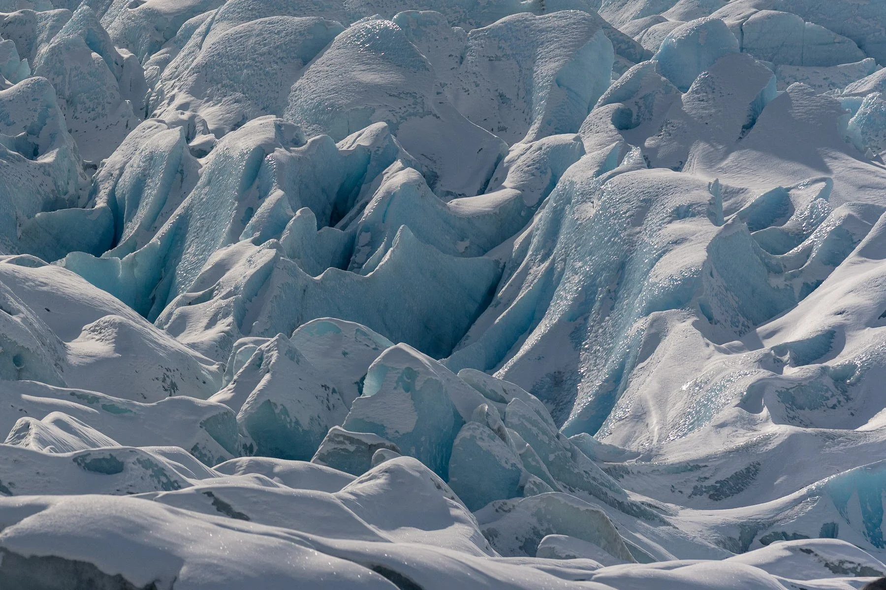 Photo of the glacier chunks on the Knik Glacier