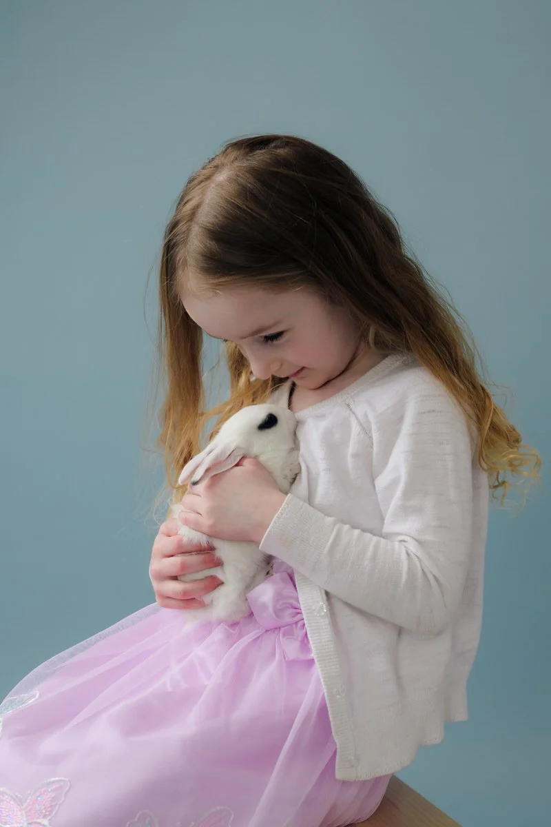 portrait of a little girl holding a rabbit