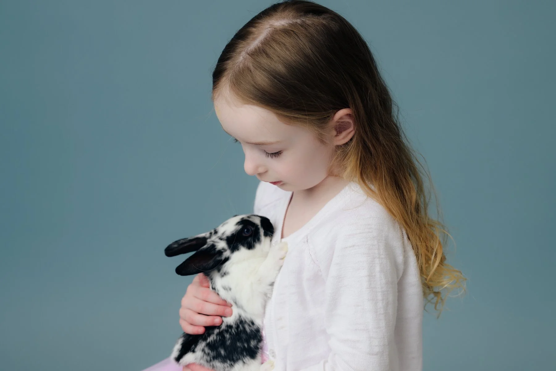 Little girl holds a black and white rabbit against a blue background