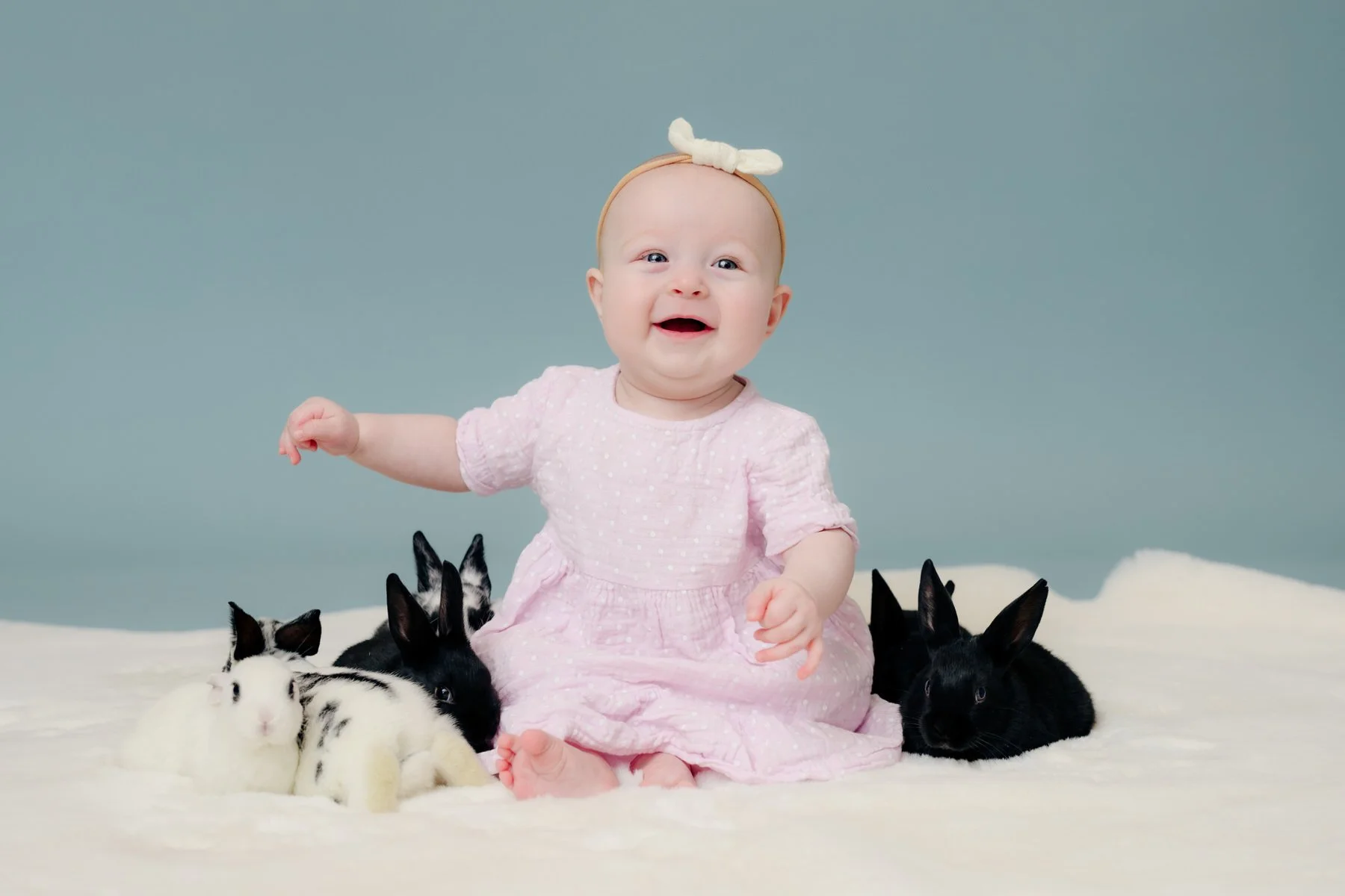 Baby sitting with baby bunnies