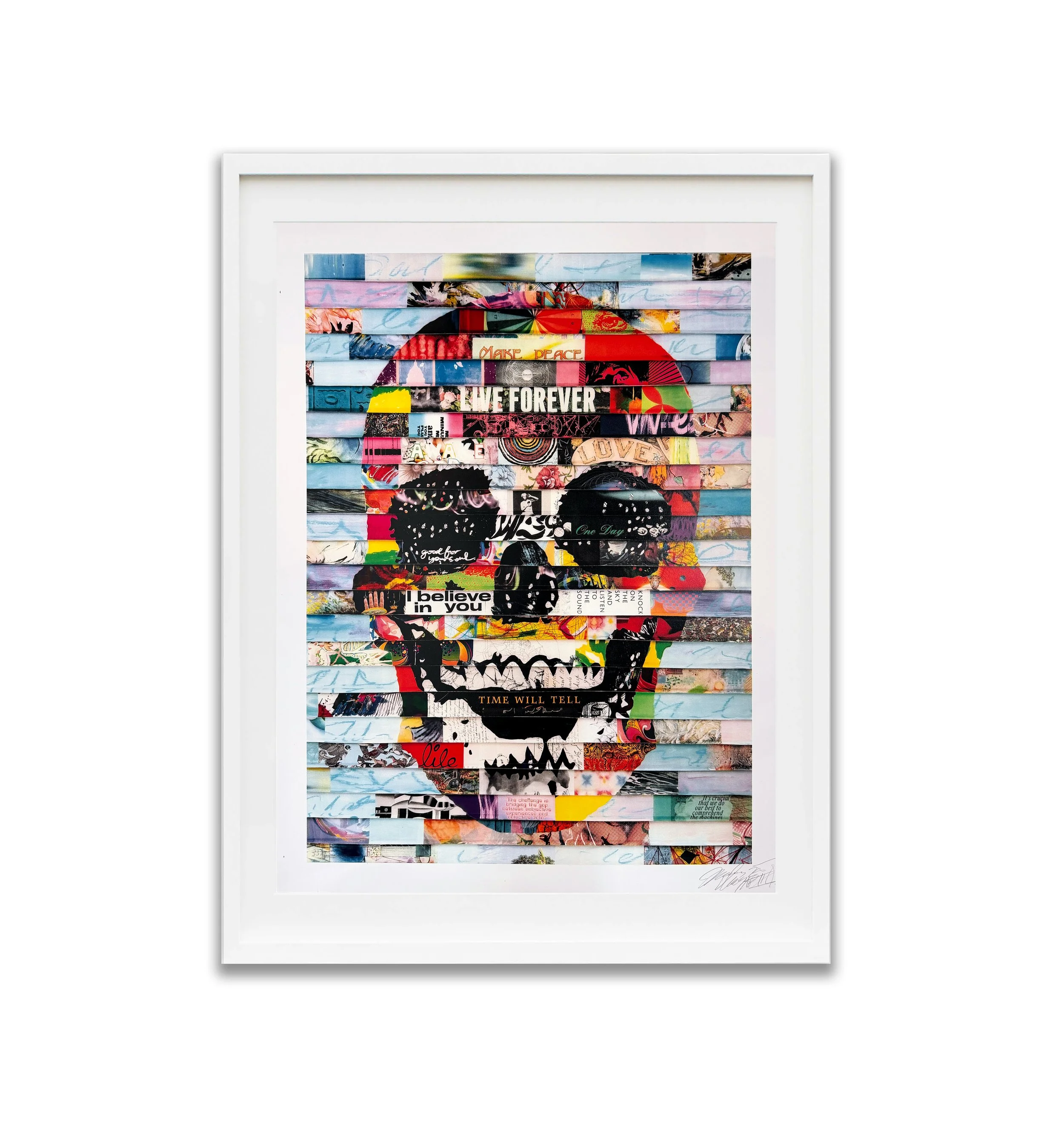 SMblueskull-framed-verbicky_FINAL.jpg