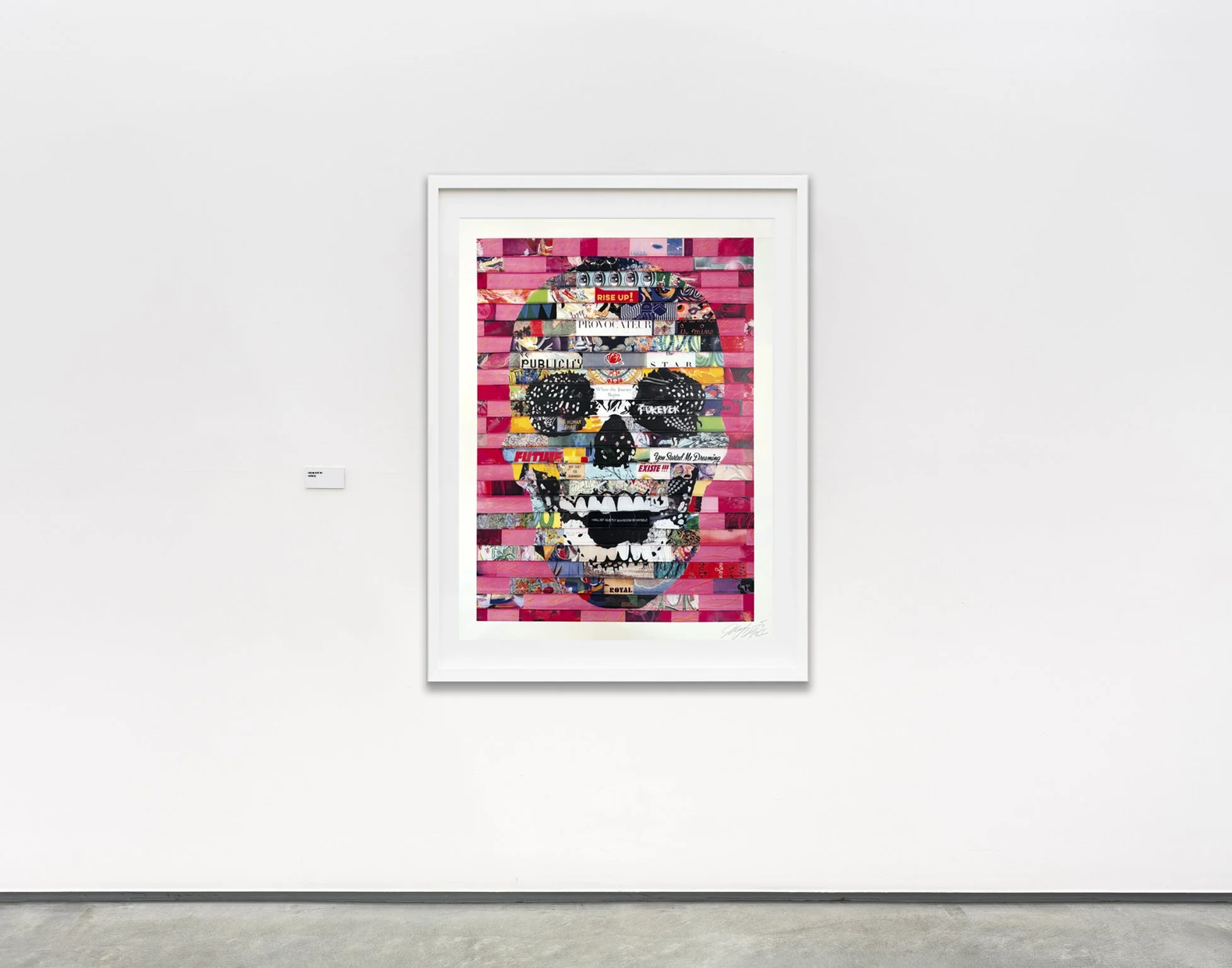 pinkskull on wall verbicky.jpg