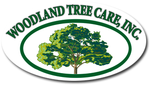 Woodland Tree Care Inc.