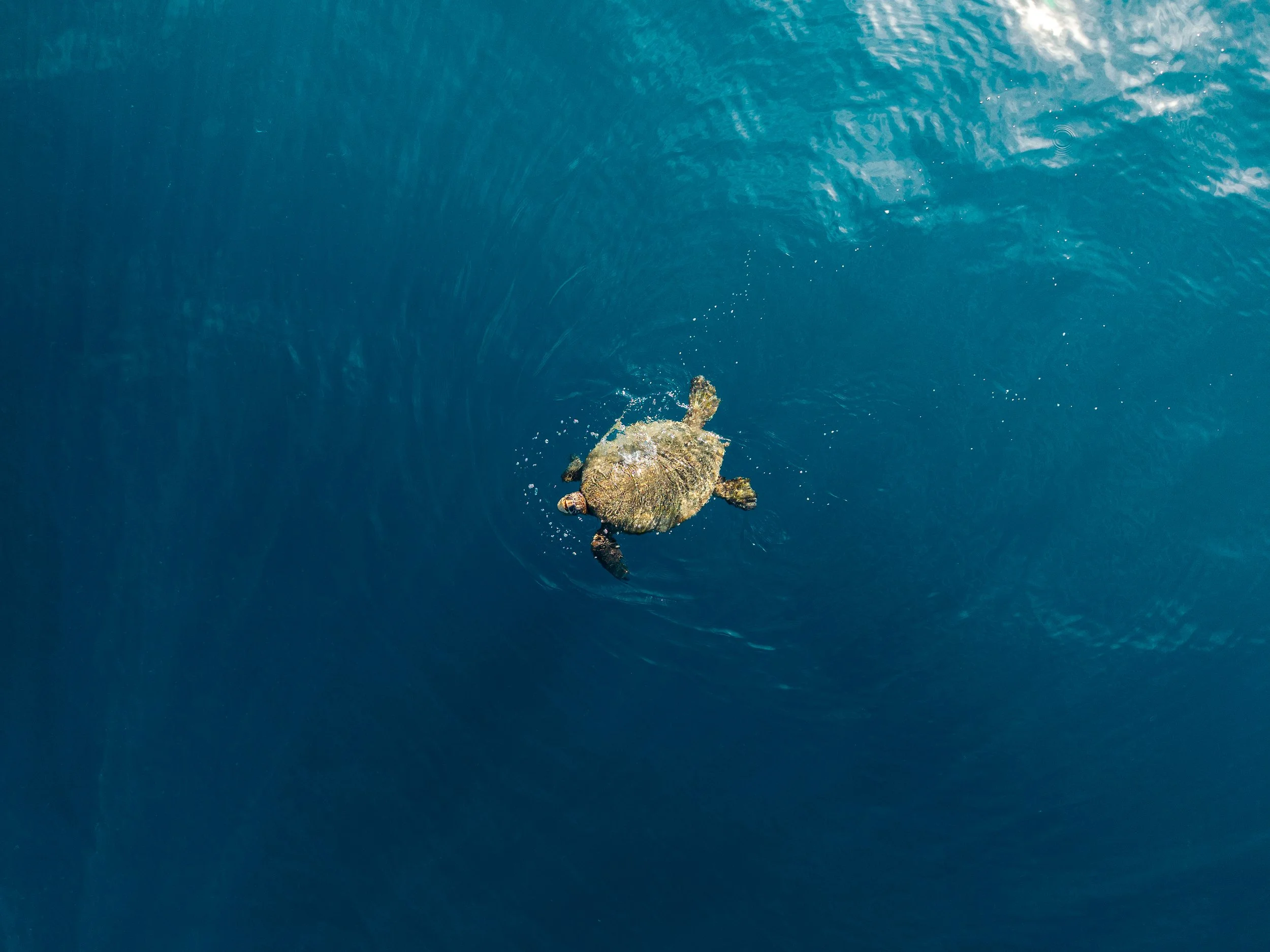 Waianae_Drone_09.25_14.jpg