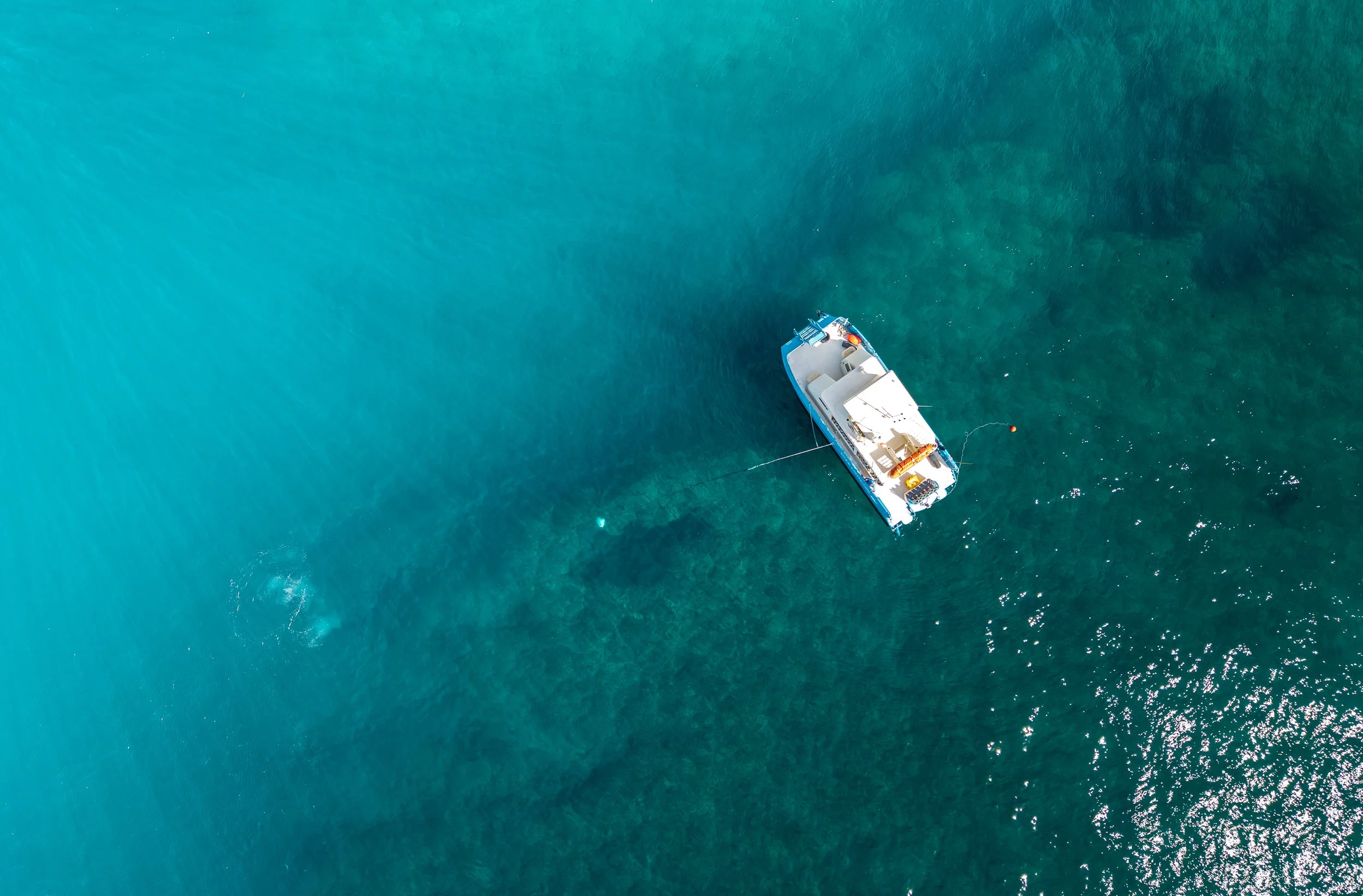 If I Have My OWSI, Why Should I Work Toward MSDT or Even IDC Staff?