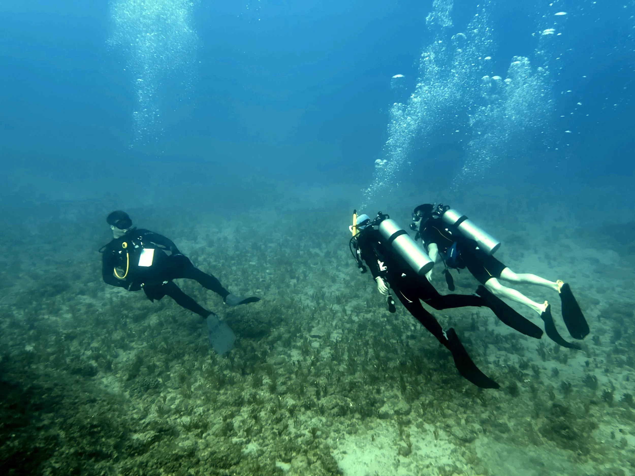 The Hesitation: From Divemaster to Instructor