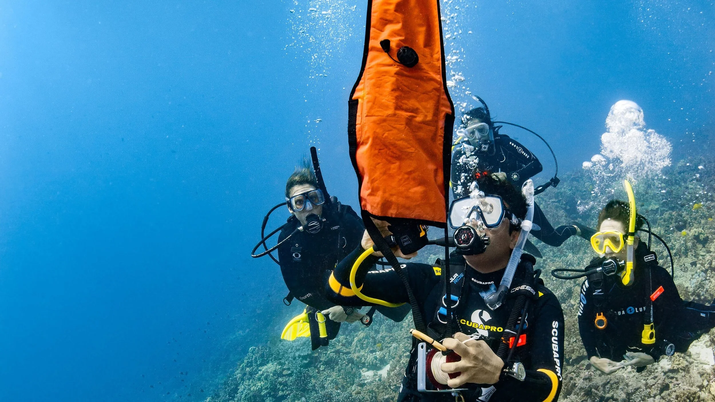 Why You Should Get Your Advanced Open Water Right After Open Water