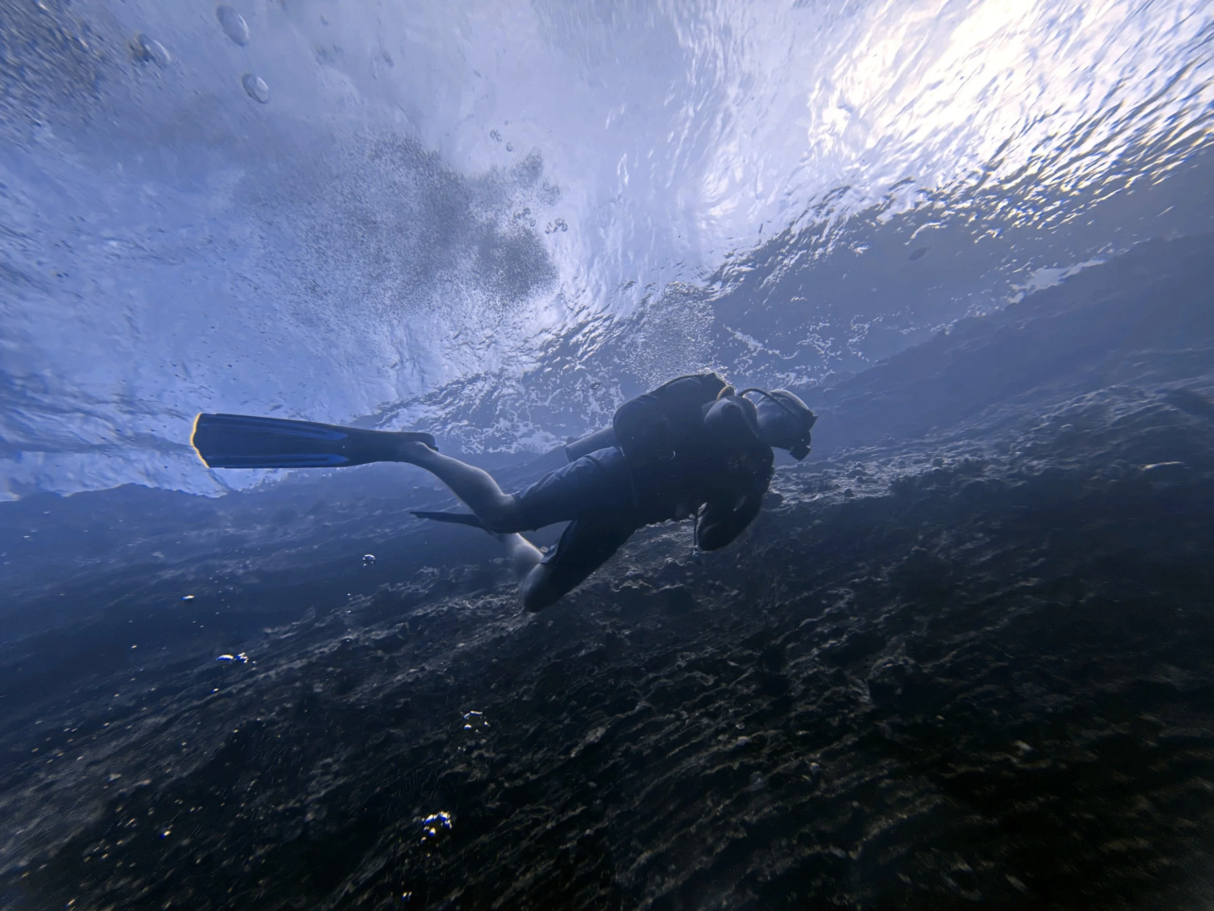 More Than Just Diving