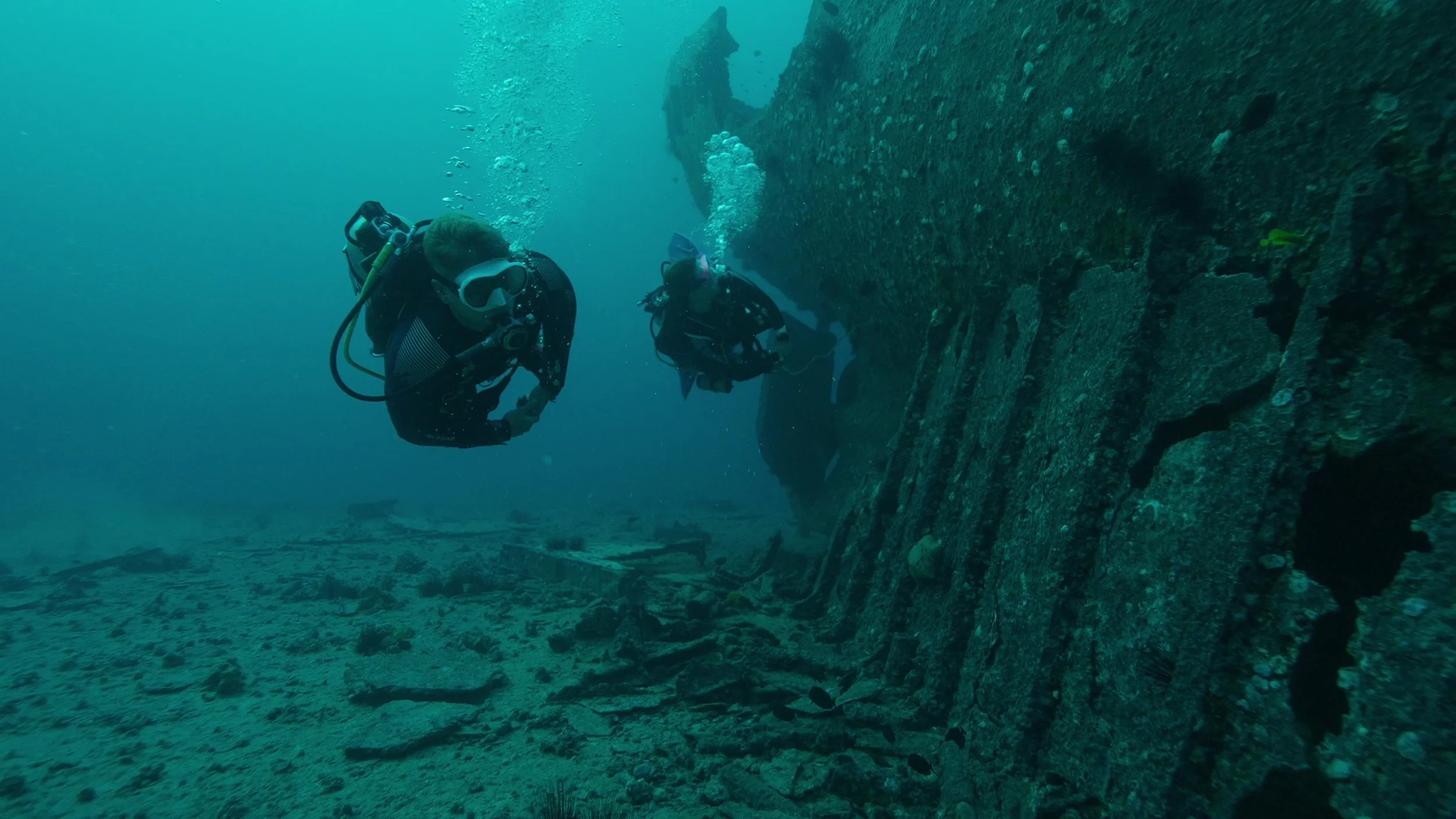 What the Ocean Can Teach Us About Adaptability