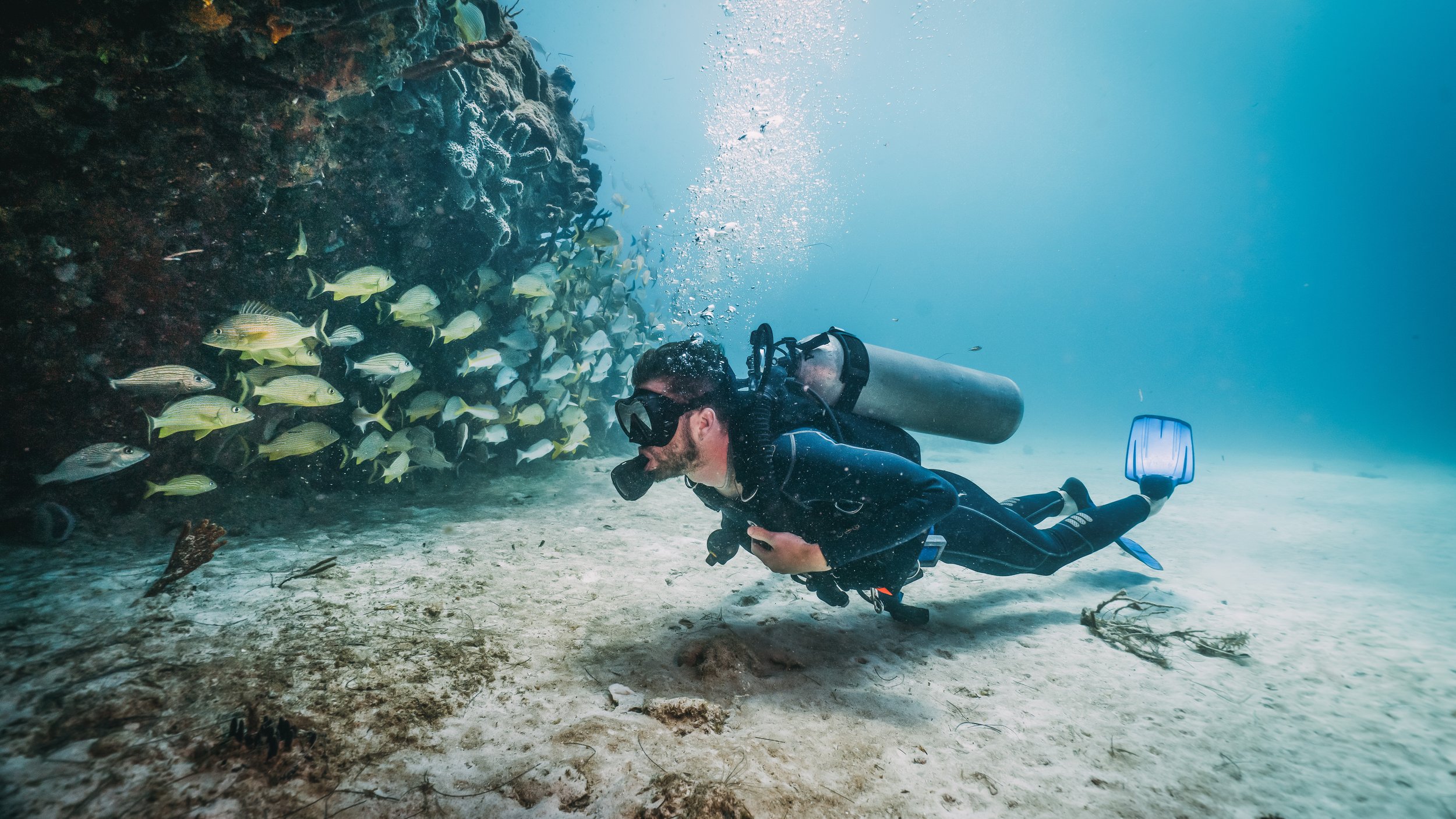 Dive and Snorkel Oahu's Shallow Reefs — Dive Oahu