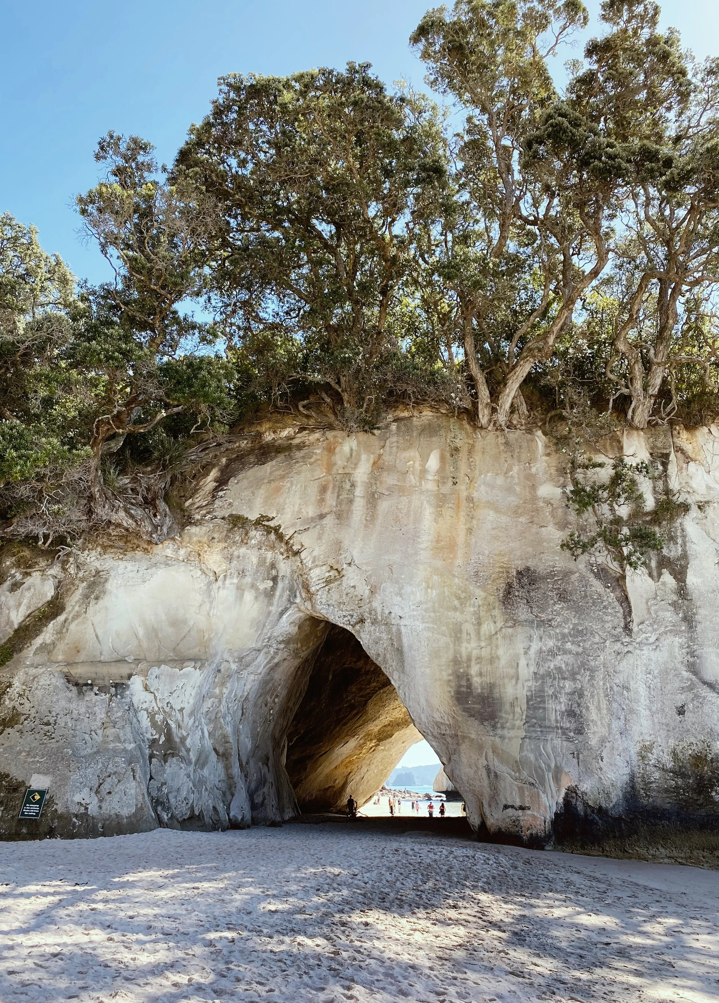 View of Cathedral Cove, trees on top, and a sandy beach with people in the background.