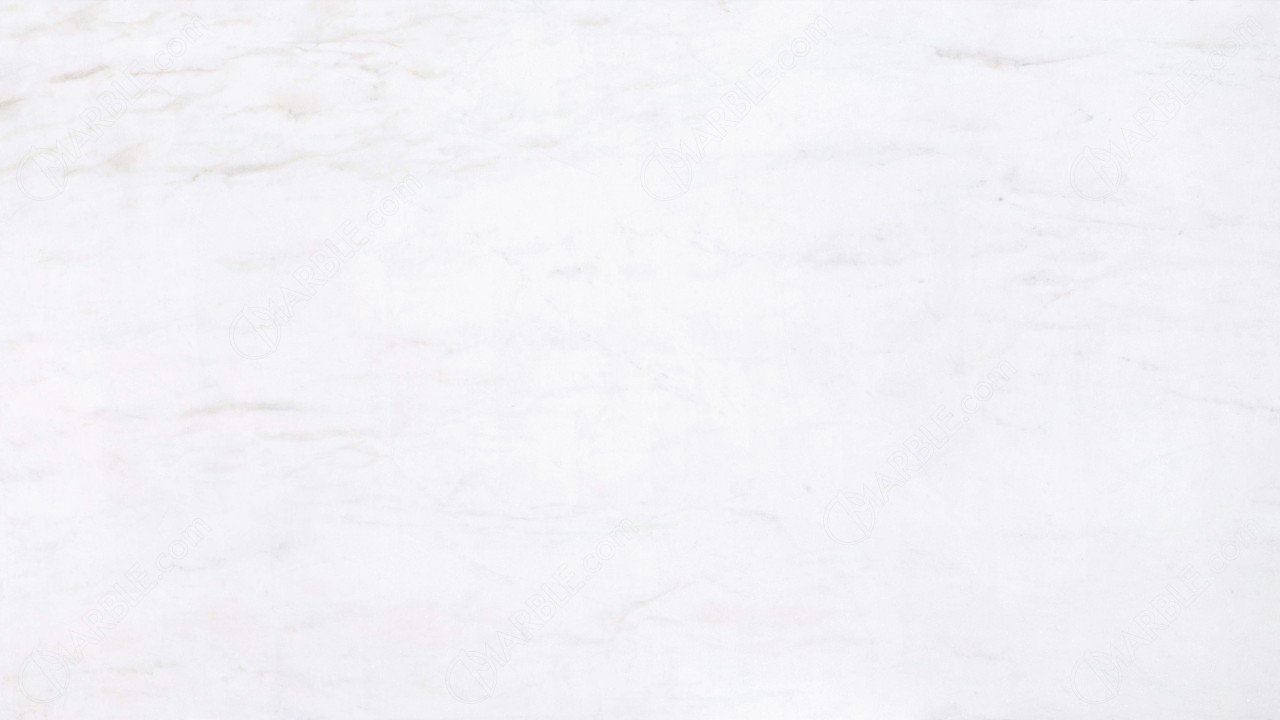 Noble White
