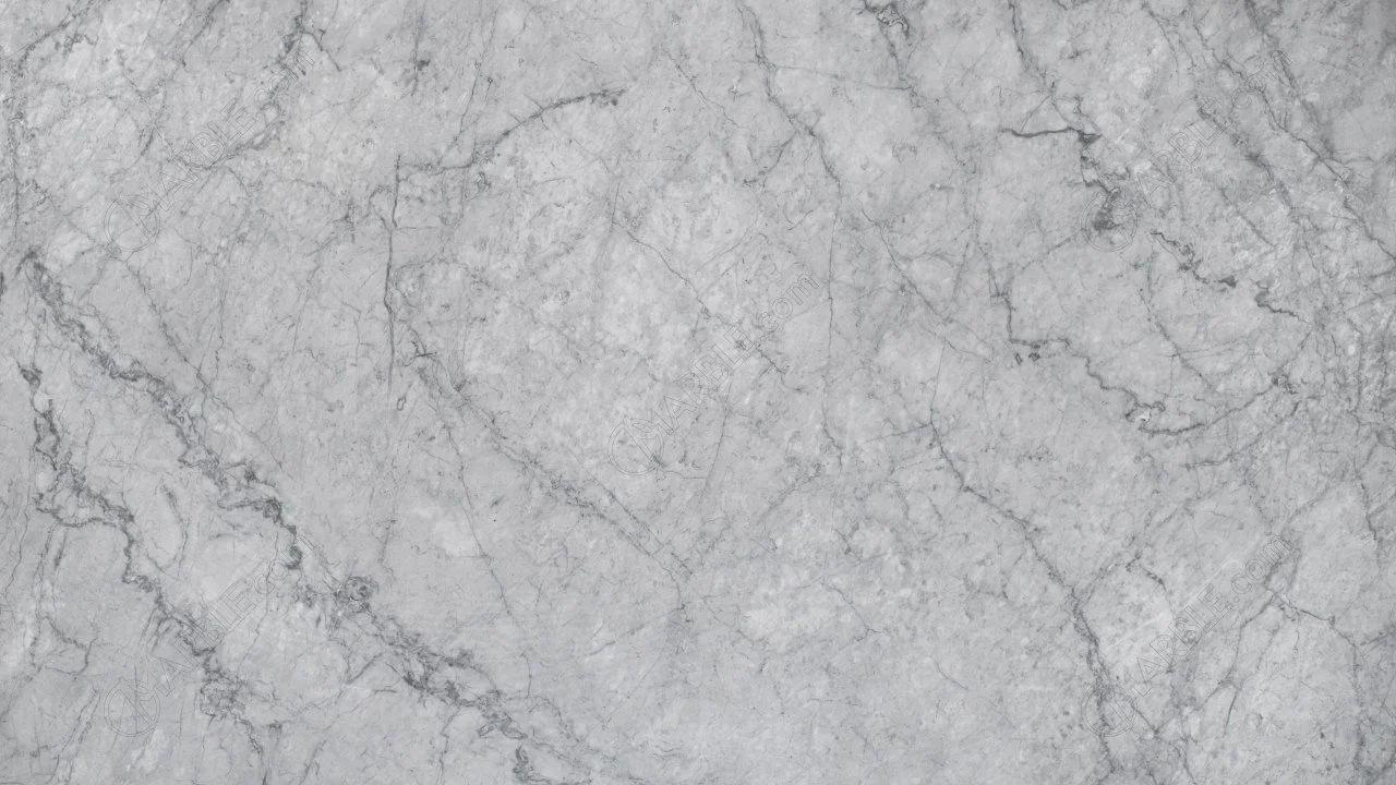 Carrara Silver