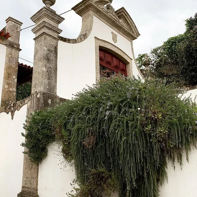 Quinta de Paços Vinho Verde Alvarinho Minho Portugal 