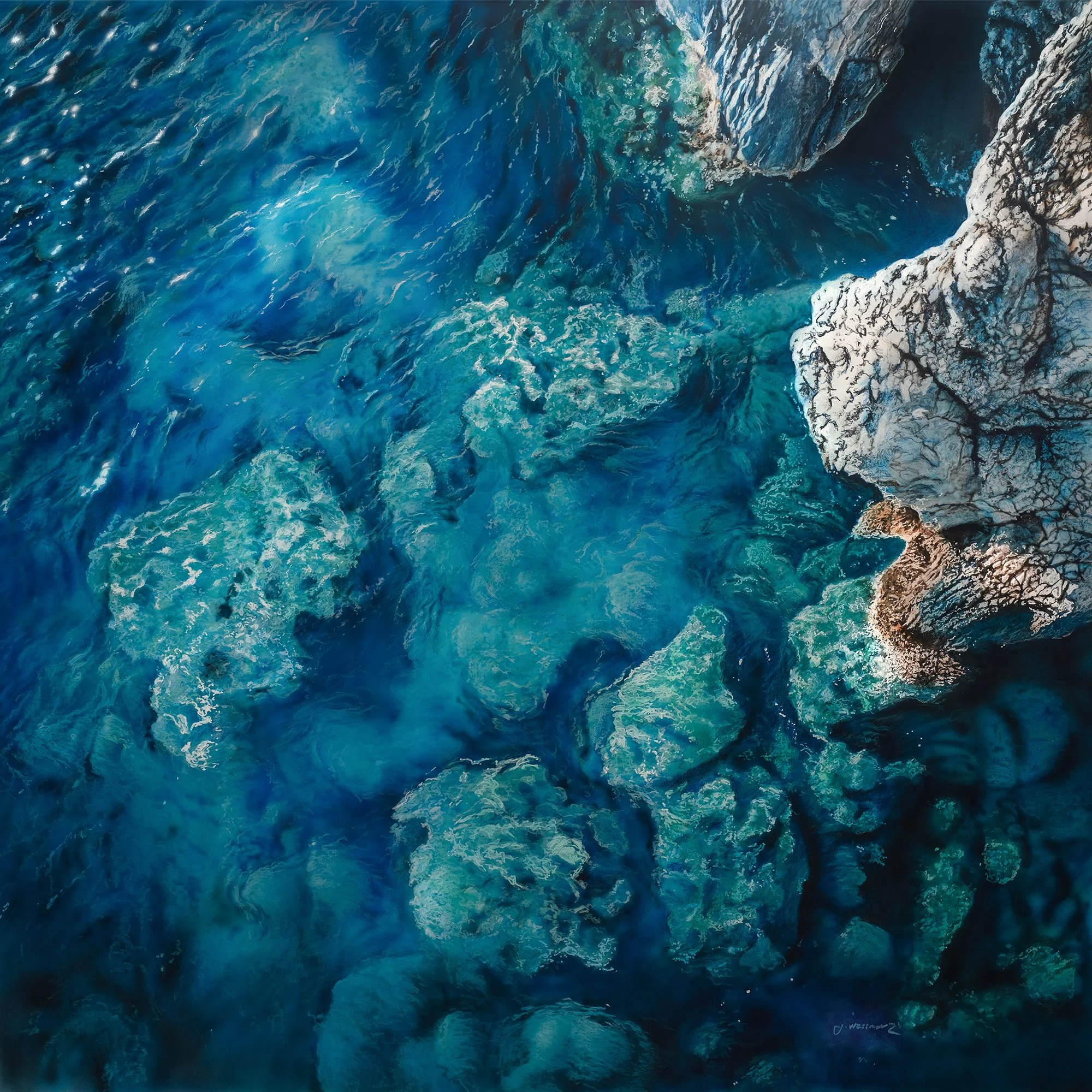 The reef