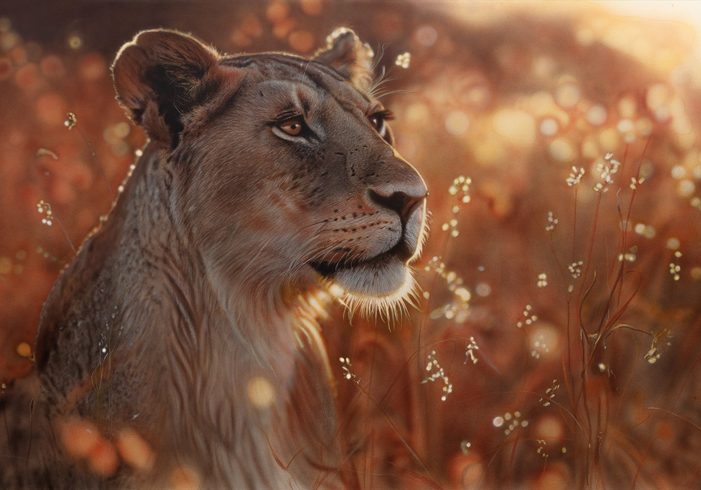 Leonessa100x70.jpg