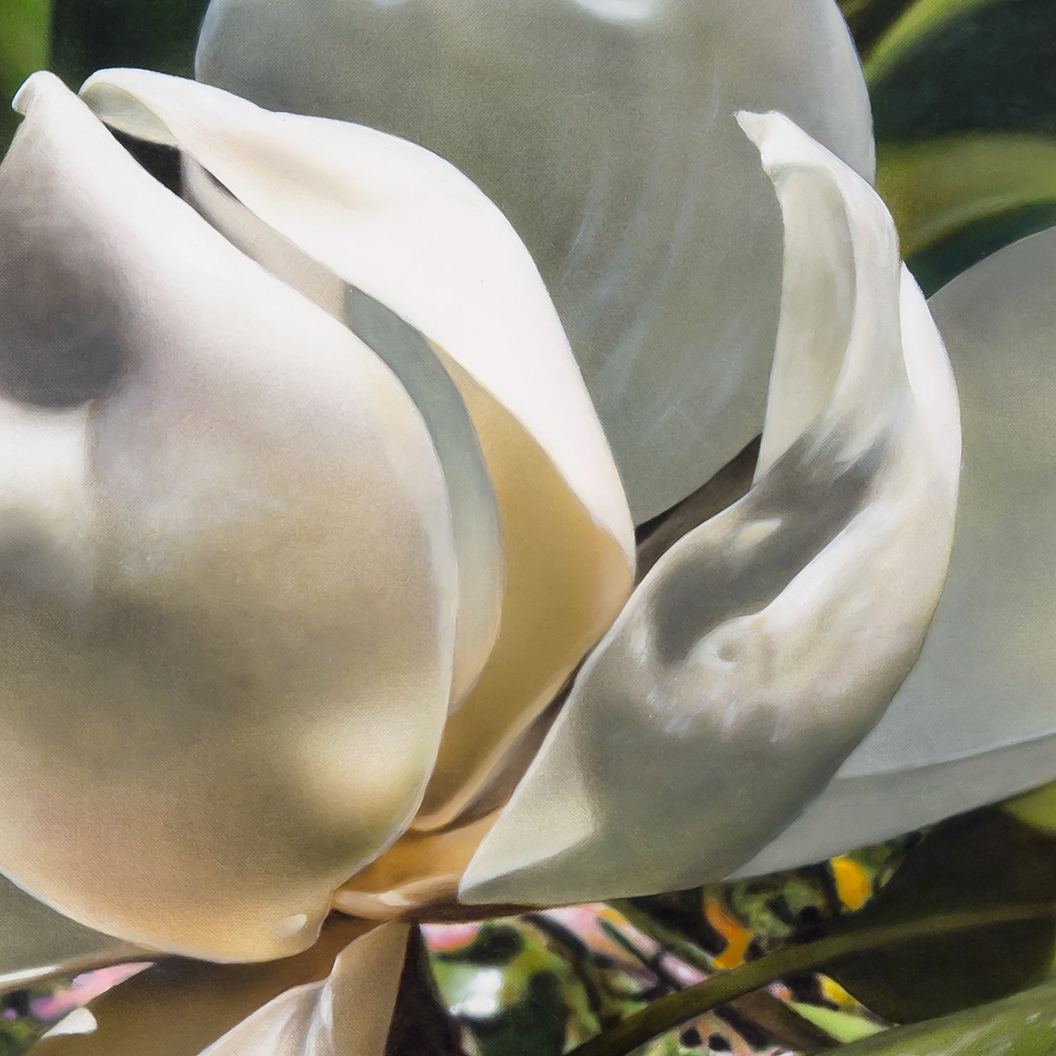 Magnolia-detail2.jpg