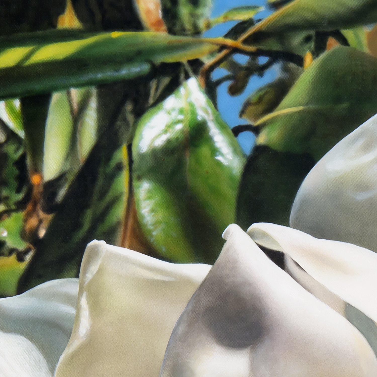 Magnolia-detail3.jpg