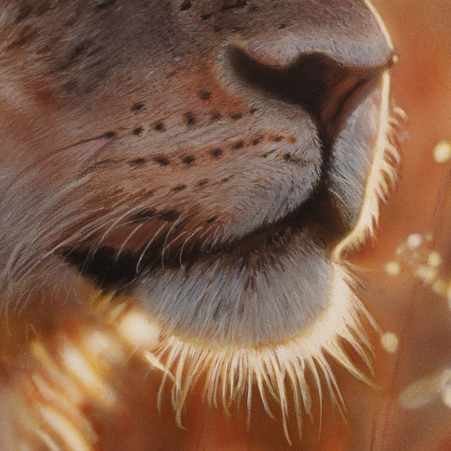 Leonessa detail2.jpg