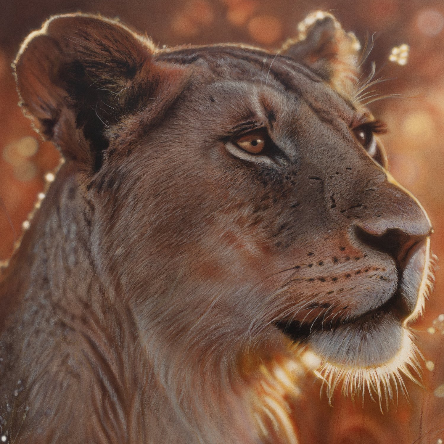 Leonessa detail3.jpg