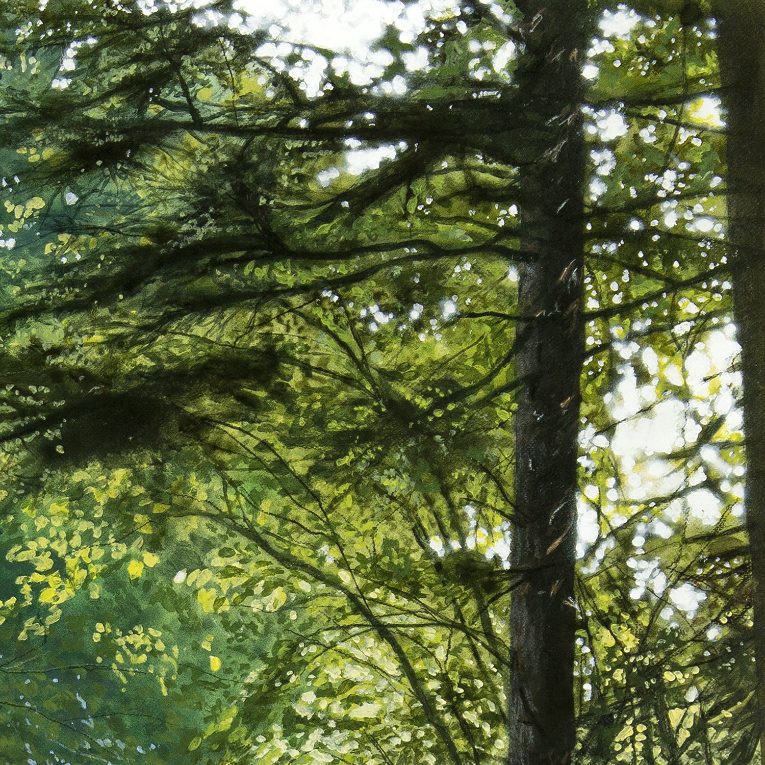 Road to light detail2.jpg