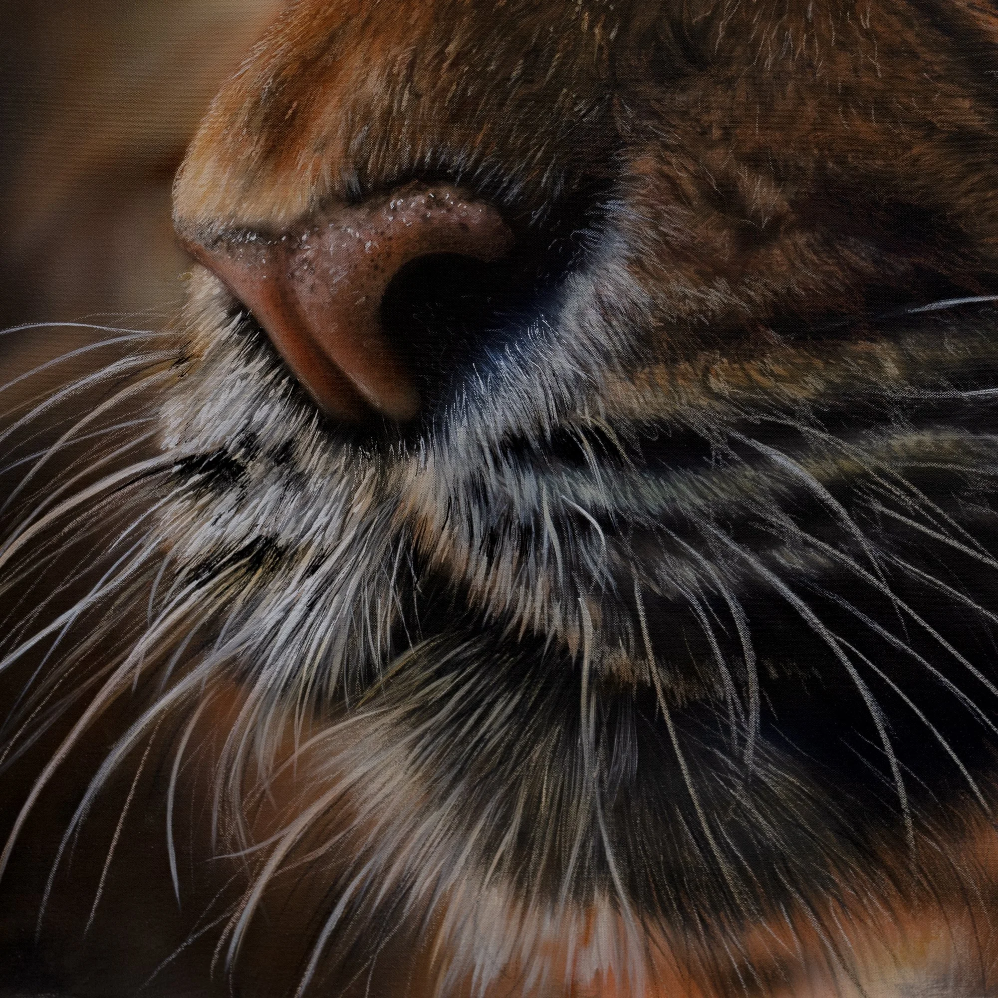 Silent Power by Johannes Wessmark, a close-up tiger portrait with amber eyes, fine whiskers and striped fur against a dark background.