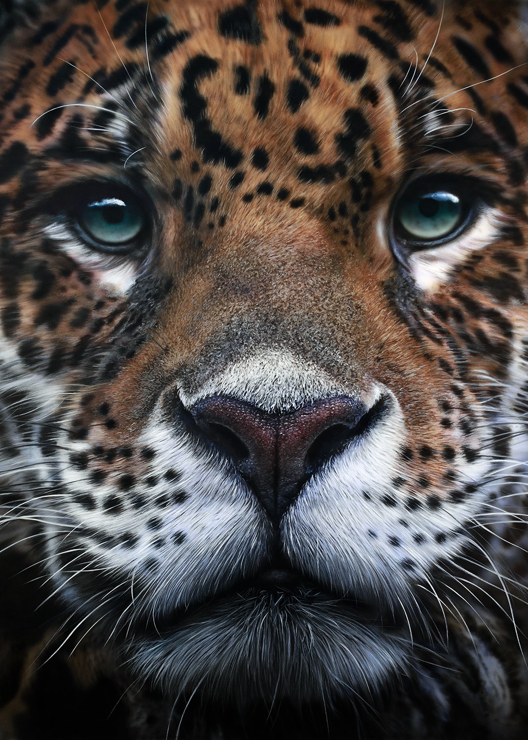 Panthera Onca50x70.jpg