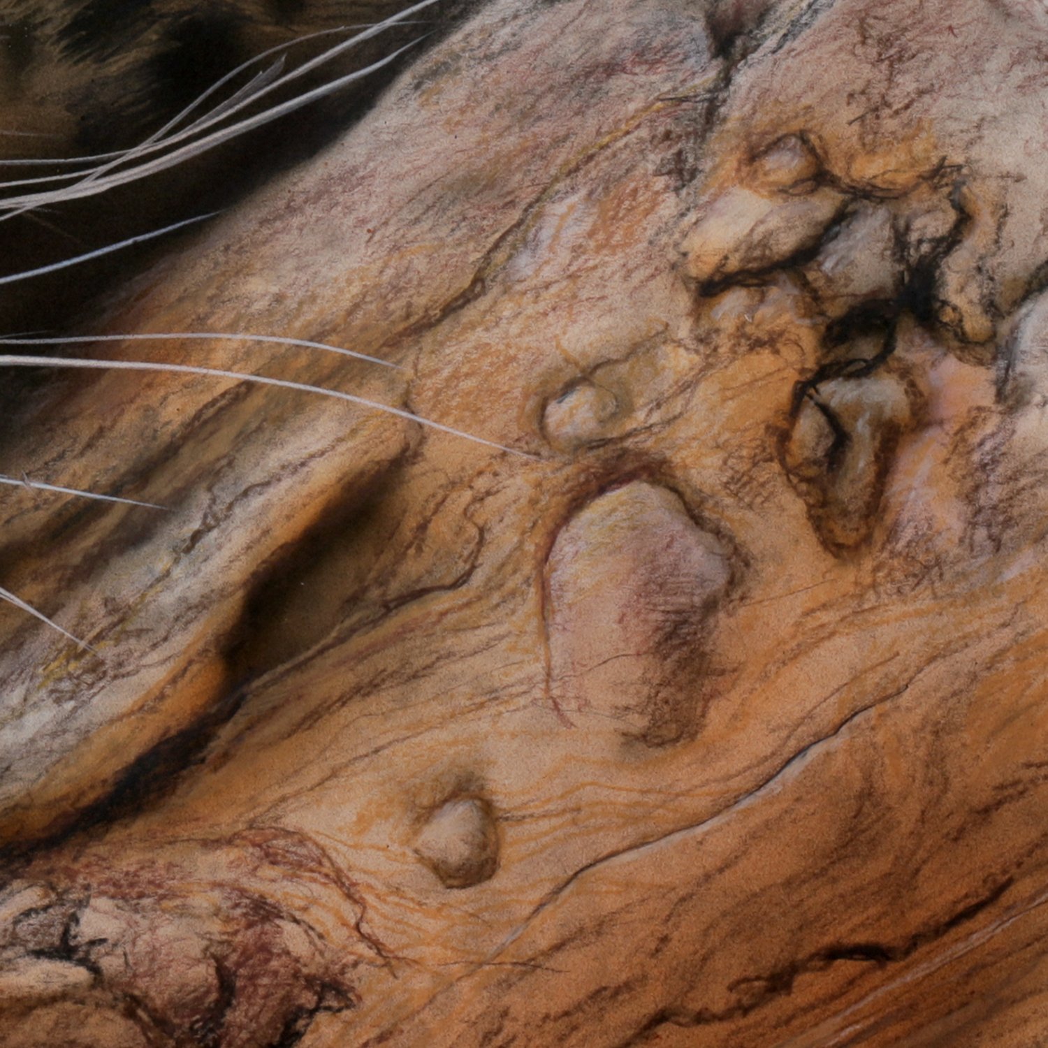 Black Jaguar detail 3.jpg