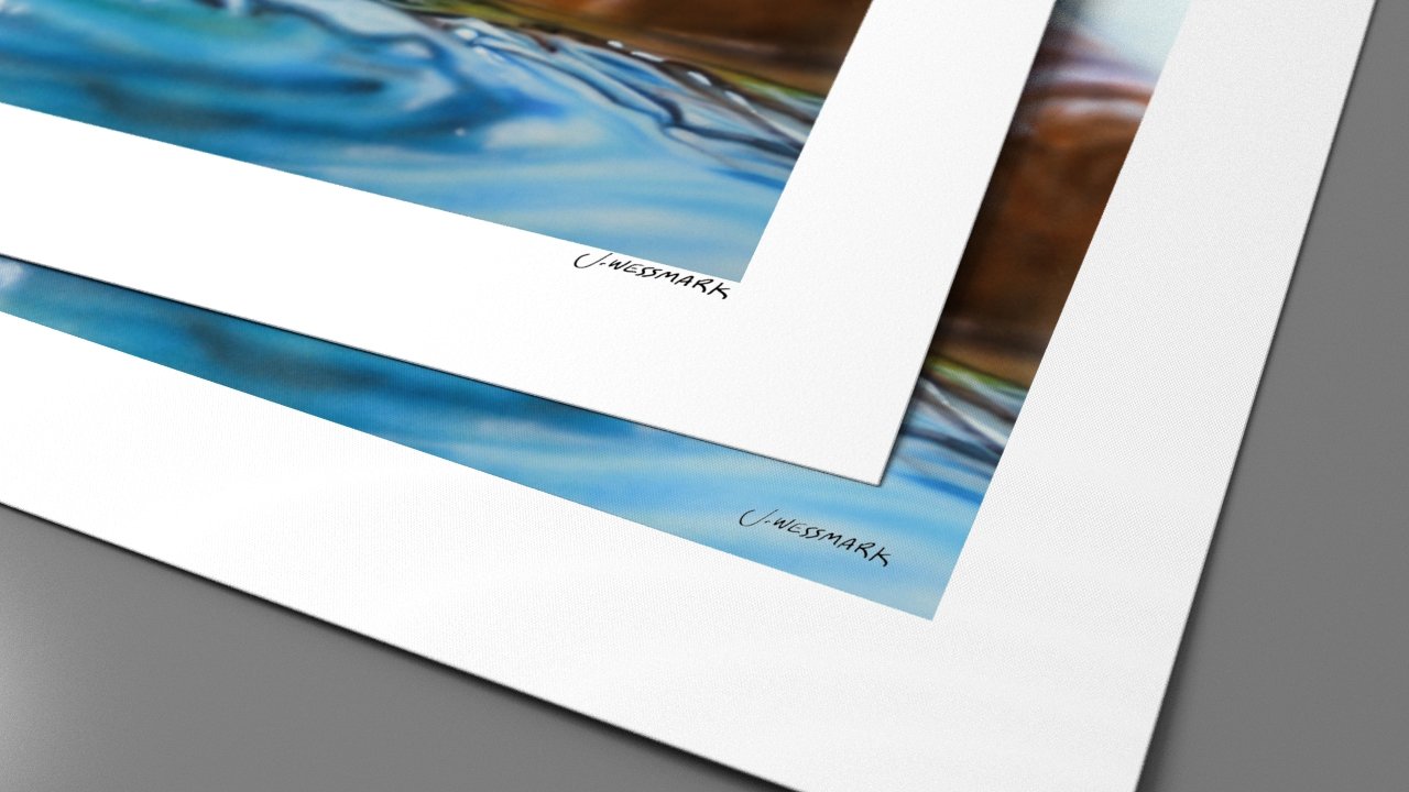 Wet hair 5 50x70 print-sign.jpg