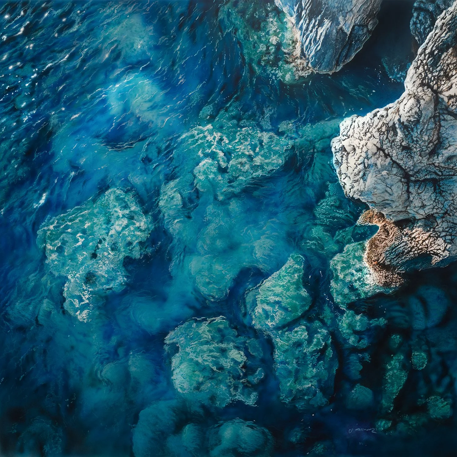 The reef.jpg