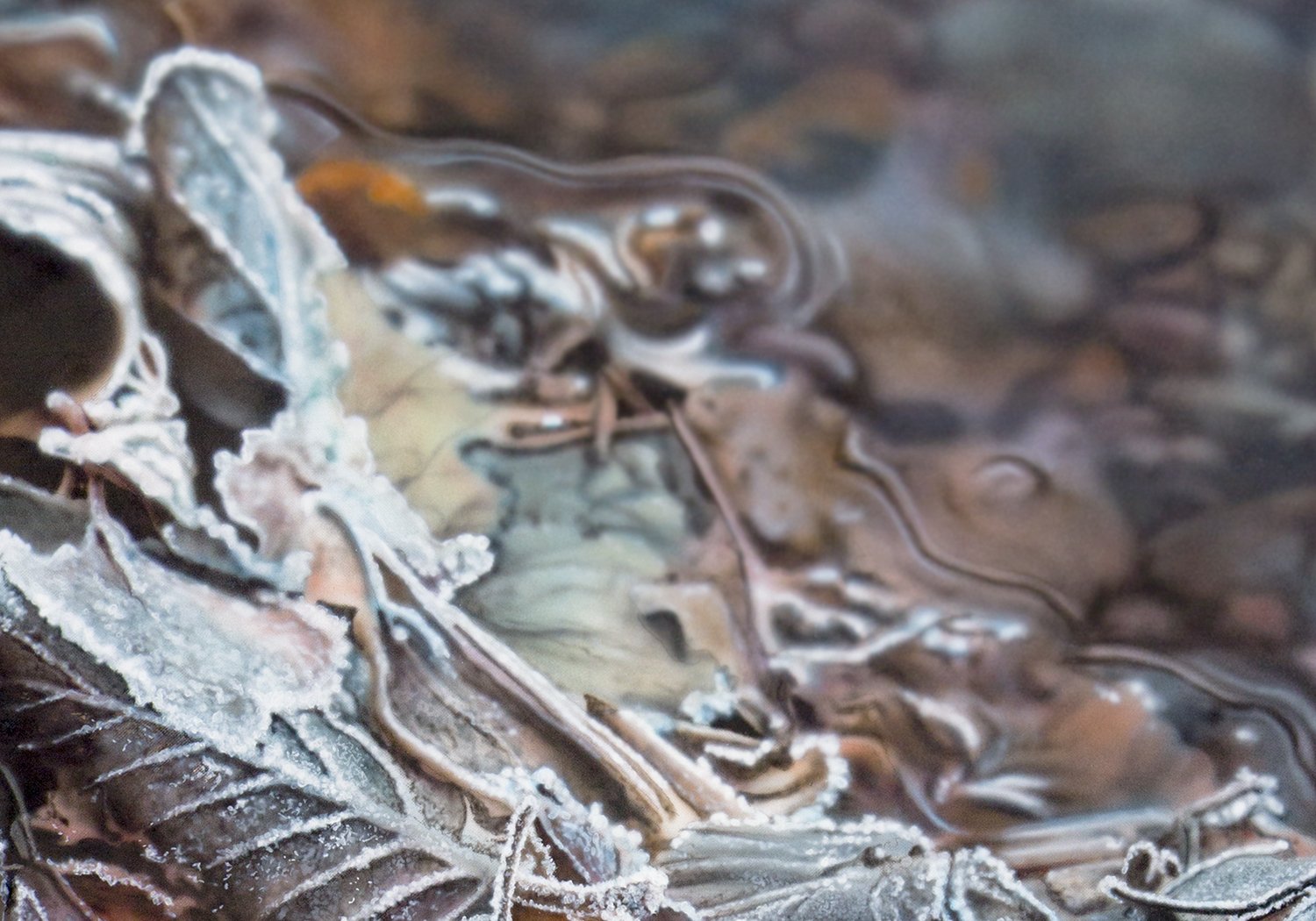 A crispy day-detail 2.jpg