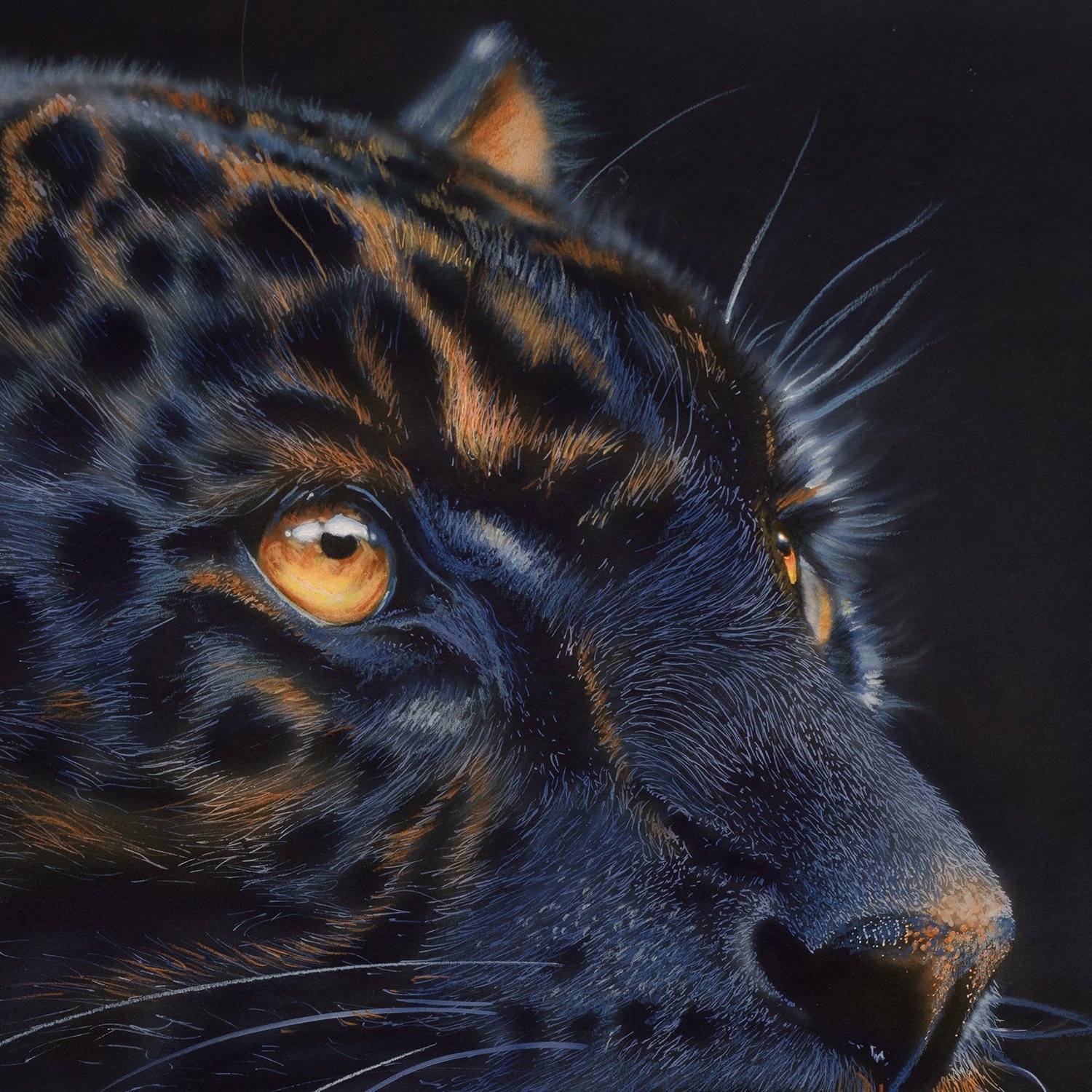 Silent Fire by Johannes Wessmark, a black panther portrait with amber eyes, faint spotted markings and blue highlights on dark fur.