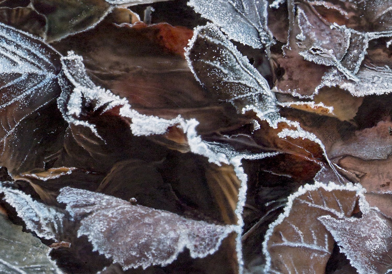 A crispy day-detail 3.jpg