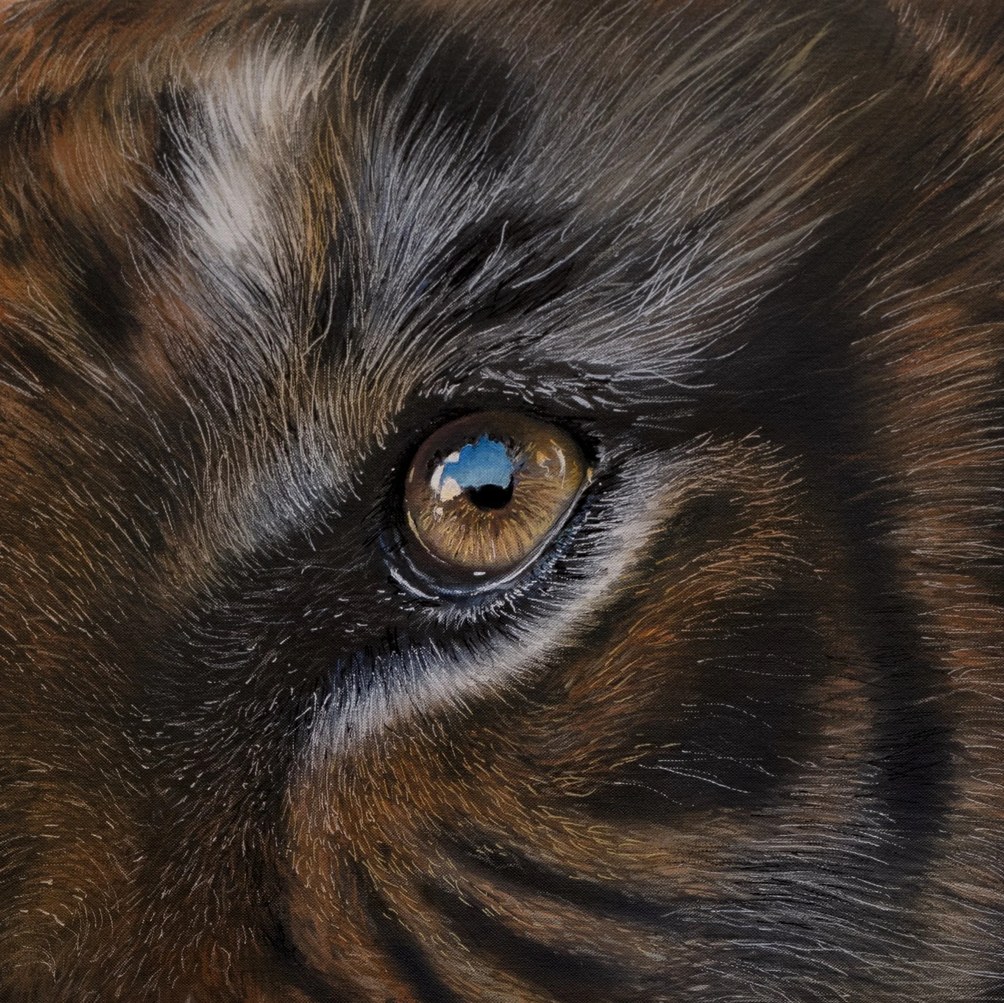 Silent Power by Johannes Wessmark, a close-up tiger portrait with amber eyes, fine whiskers and striped fur against a dark background.