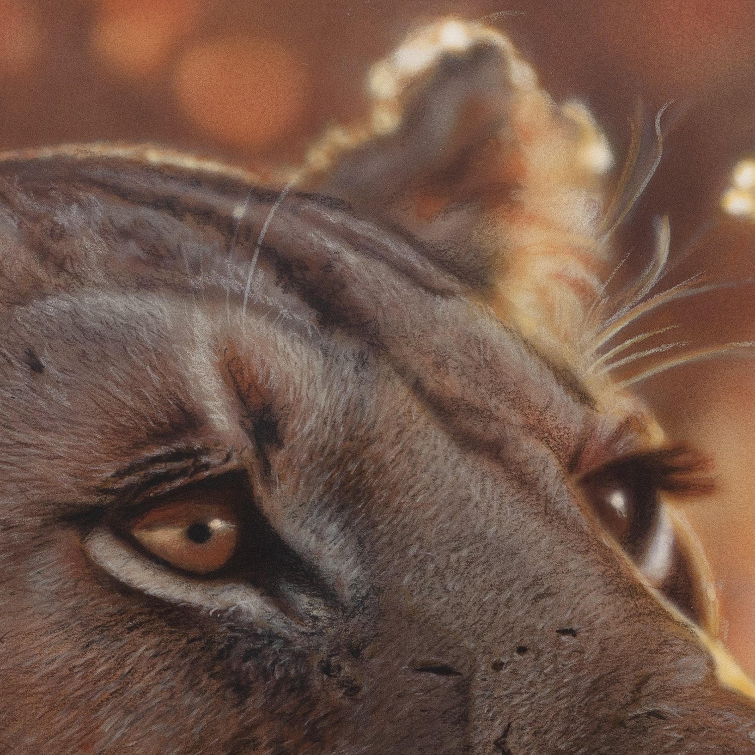 Leonessa detail1.jpg
