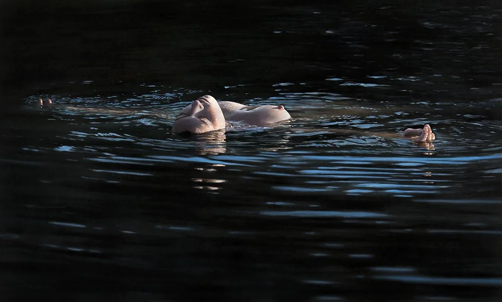 Hyperrealistic painting by Johannes Wessmark. Person floating on their back in dark water with minimal ripples and reflections.