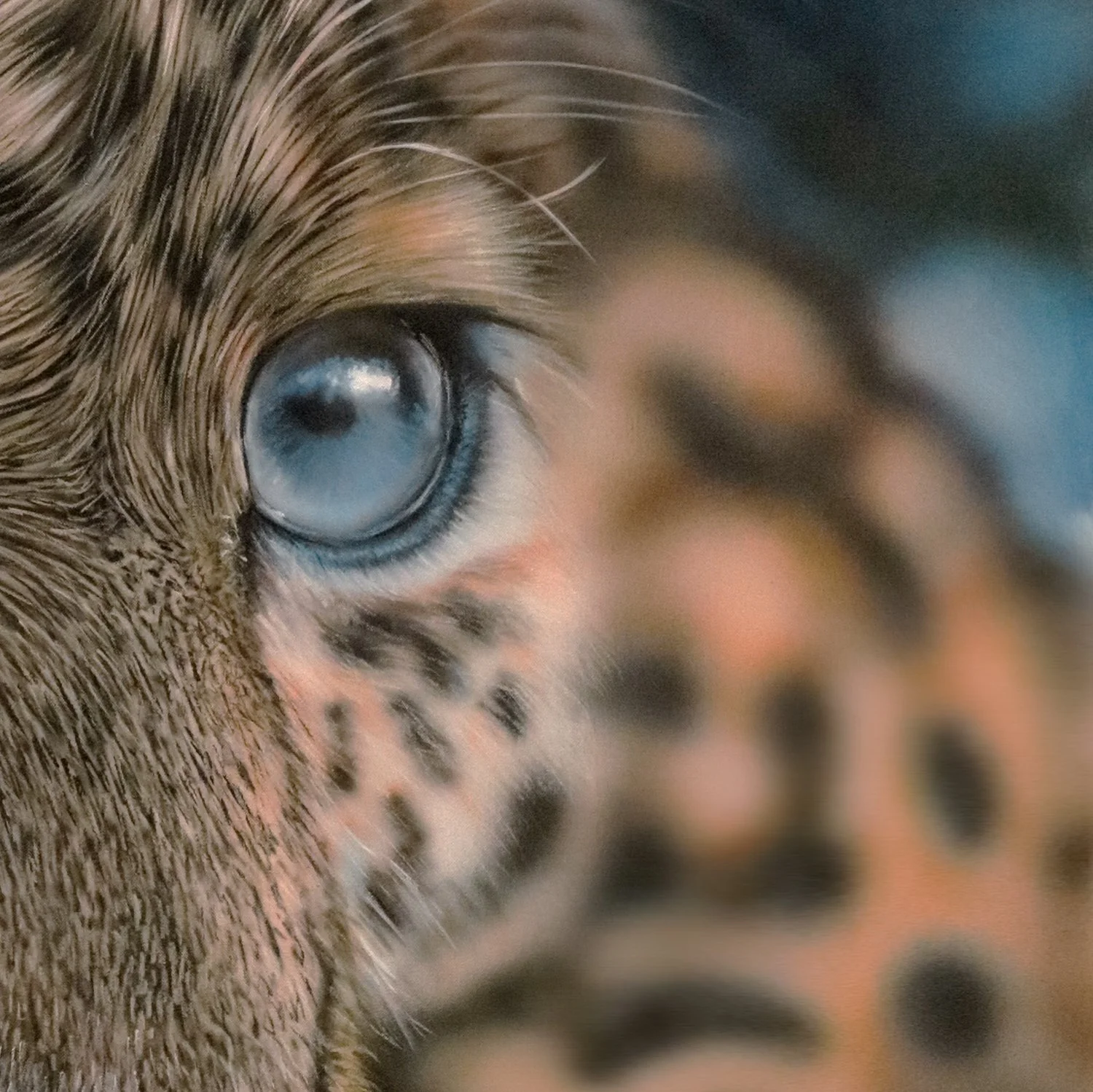 Blue eyed Leopard-detail2.jpg