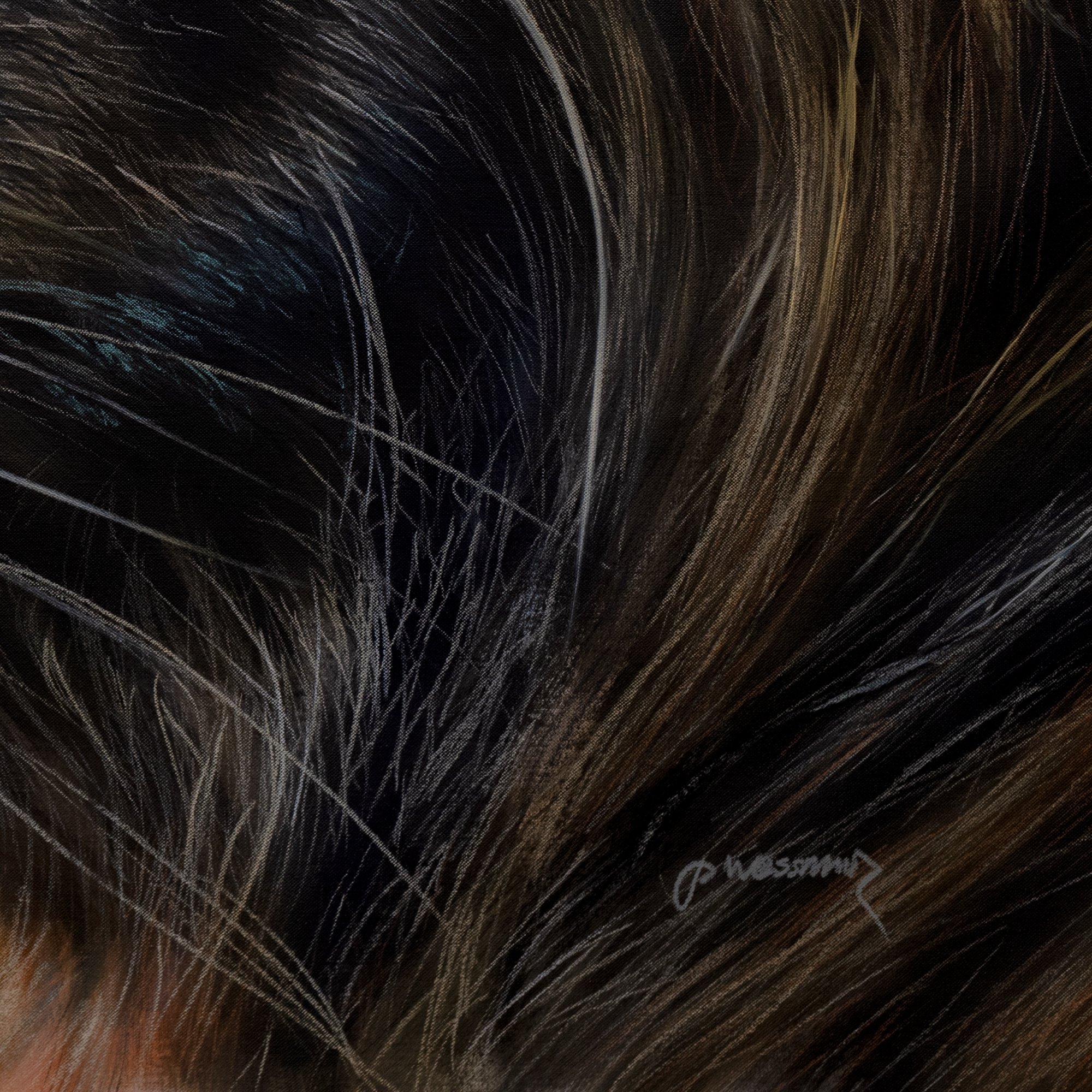 Silent Power by Johannes Wessmark, a close-up tiger portrait with amber eyes, fine whiskers and striped fur against a dark background.
